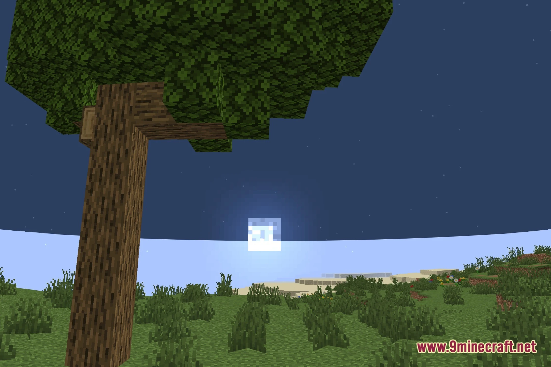 7Amada Panini Projection Lite Shaders (26.3, 1.20.1) – Fixes Wide Fov Distortion 5 7amada panini projection lite shaders screenshot 4