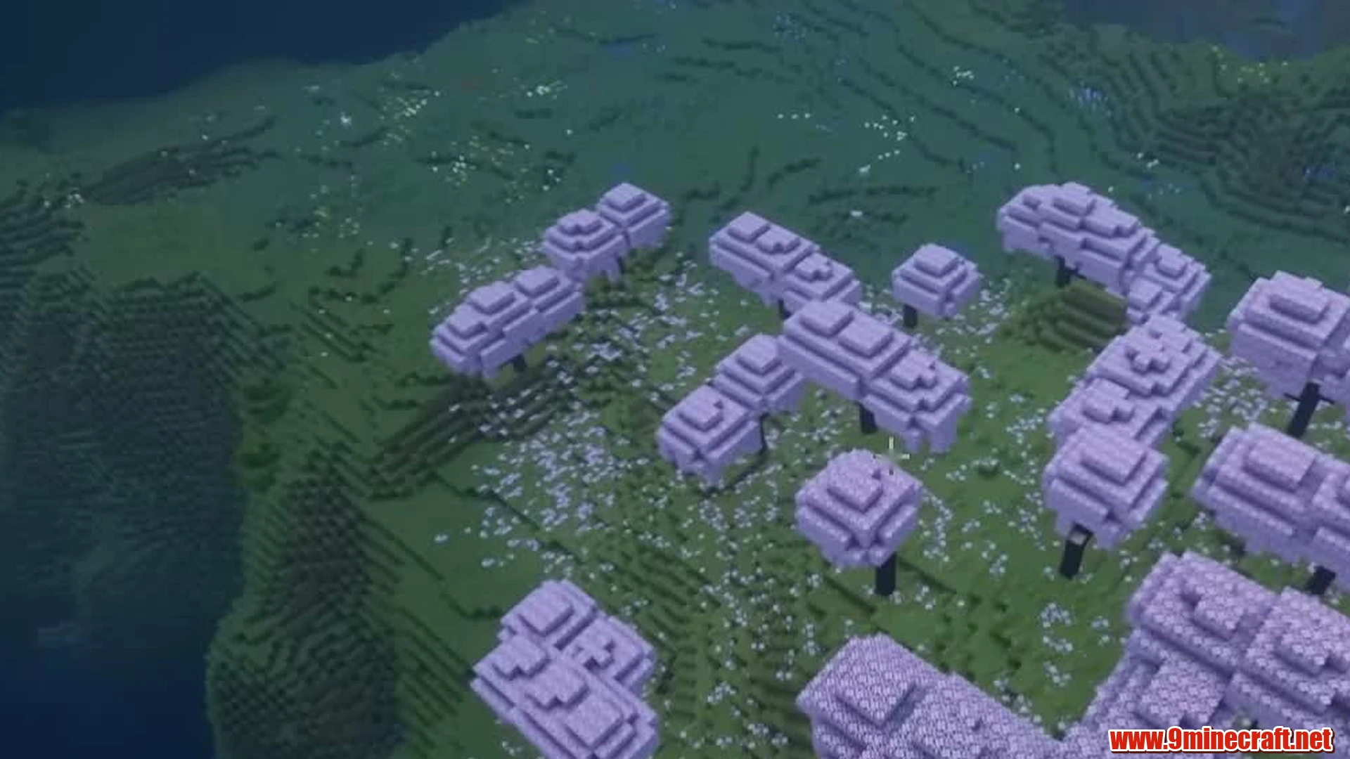 Cherry blossom caldera basin - minecraft seed 10649260349