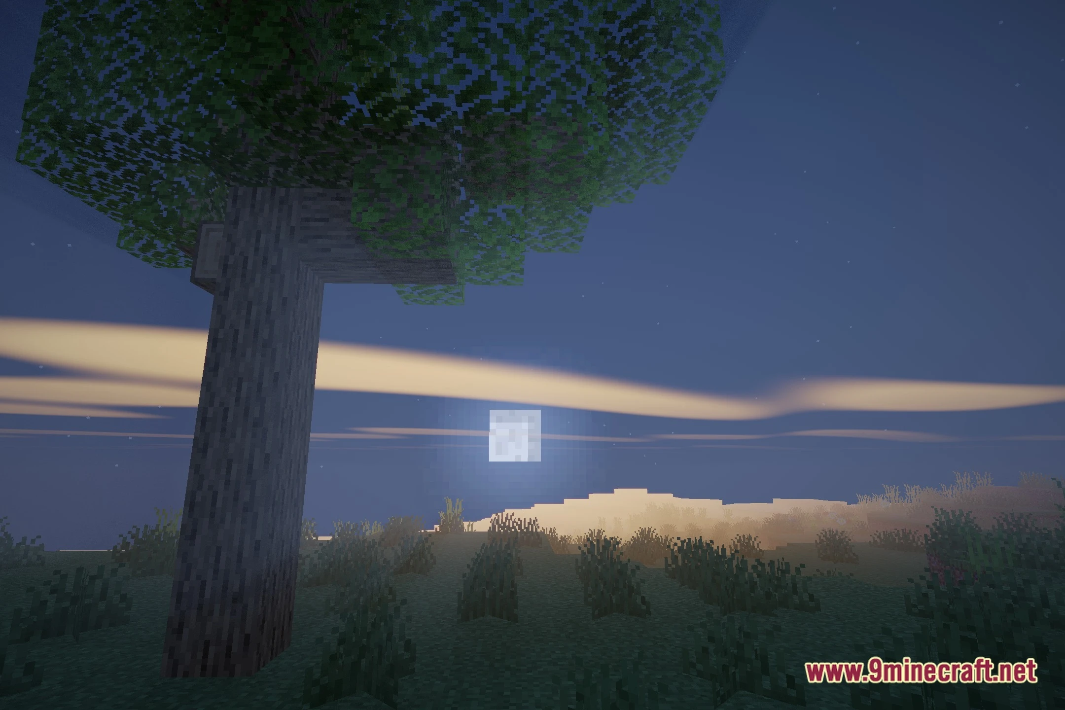 Aetheria realism shaders screenshot 4