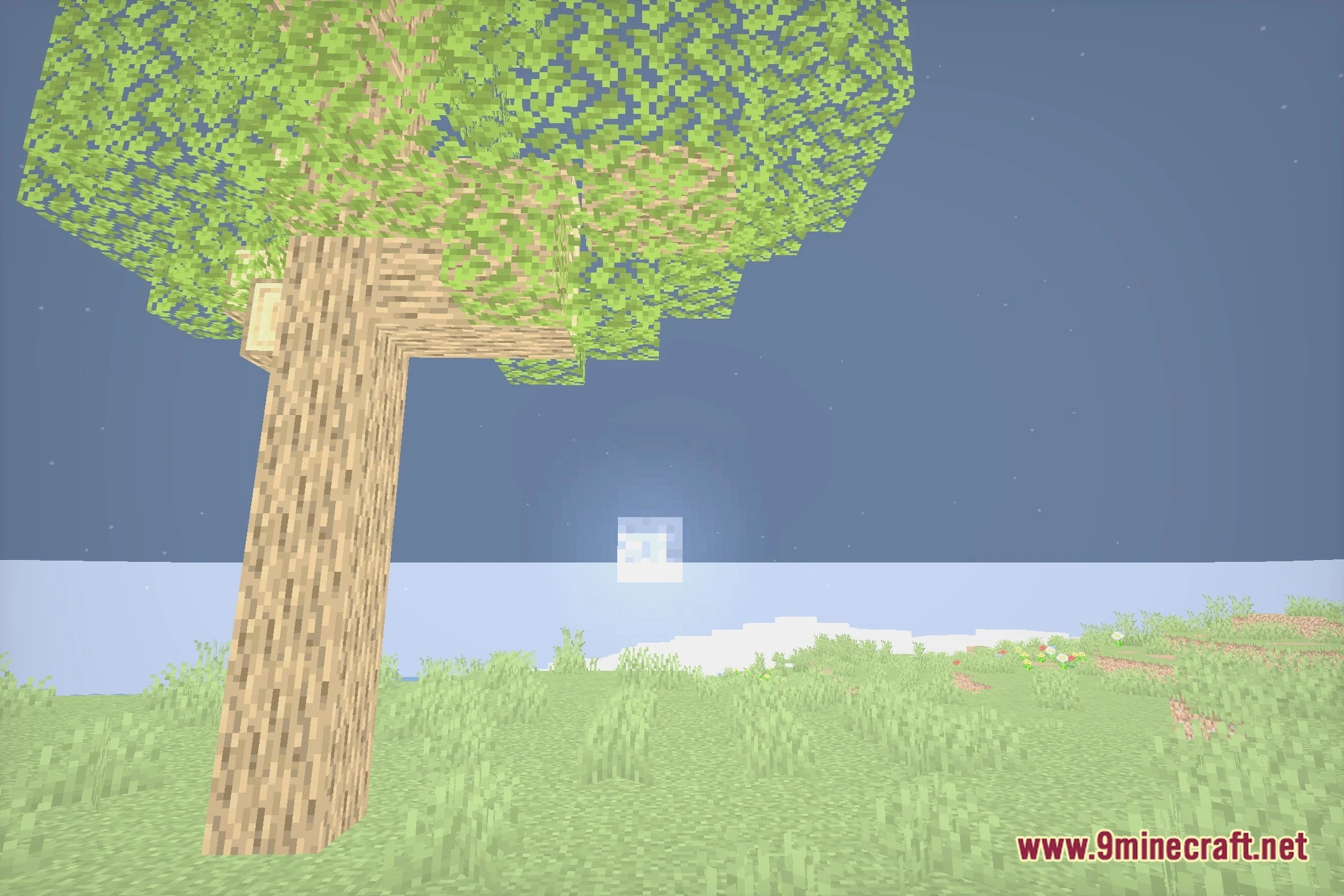 Aethris Shaders (26.3, 1.20.1) – Soft Shadows And Clean Color Grading 5 Aethris shaders screenshot 4