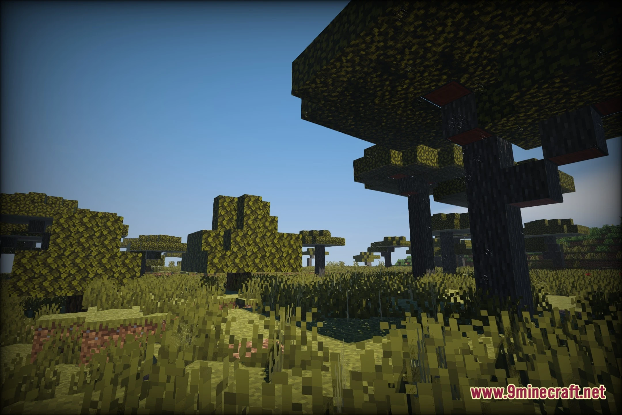 Apaadanyashader (26.3, 1.20.1) – Realistic Lighting For Low-End Pcs 13 Apaadanyashader screenshot 12