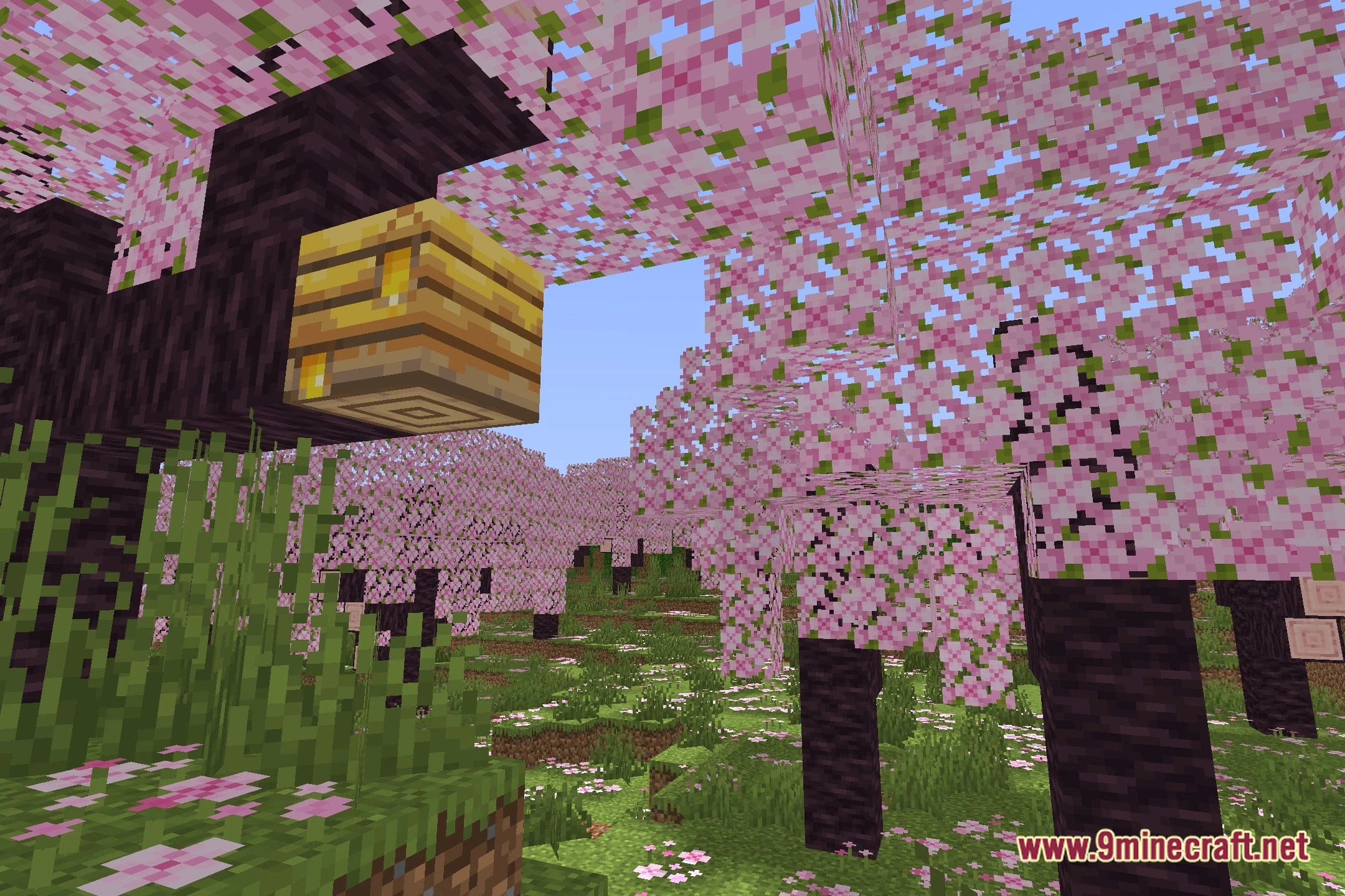 Aurorashader (26.3, 1.20.1) – Modern Real-Time Glsl Lighting On Iris 2 Aurorashader screenshot 1