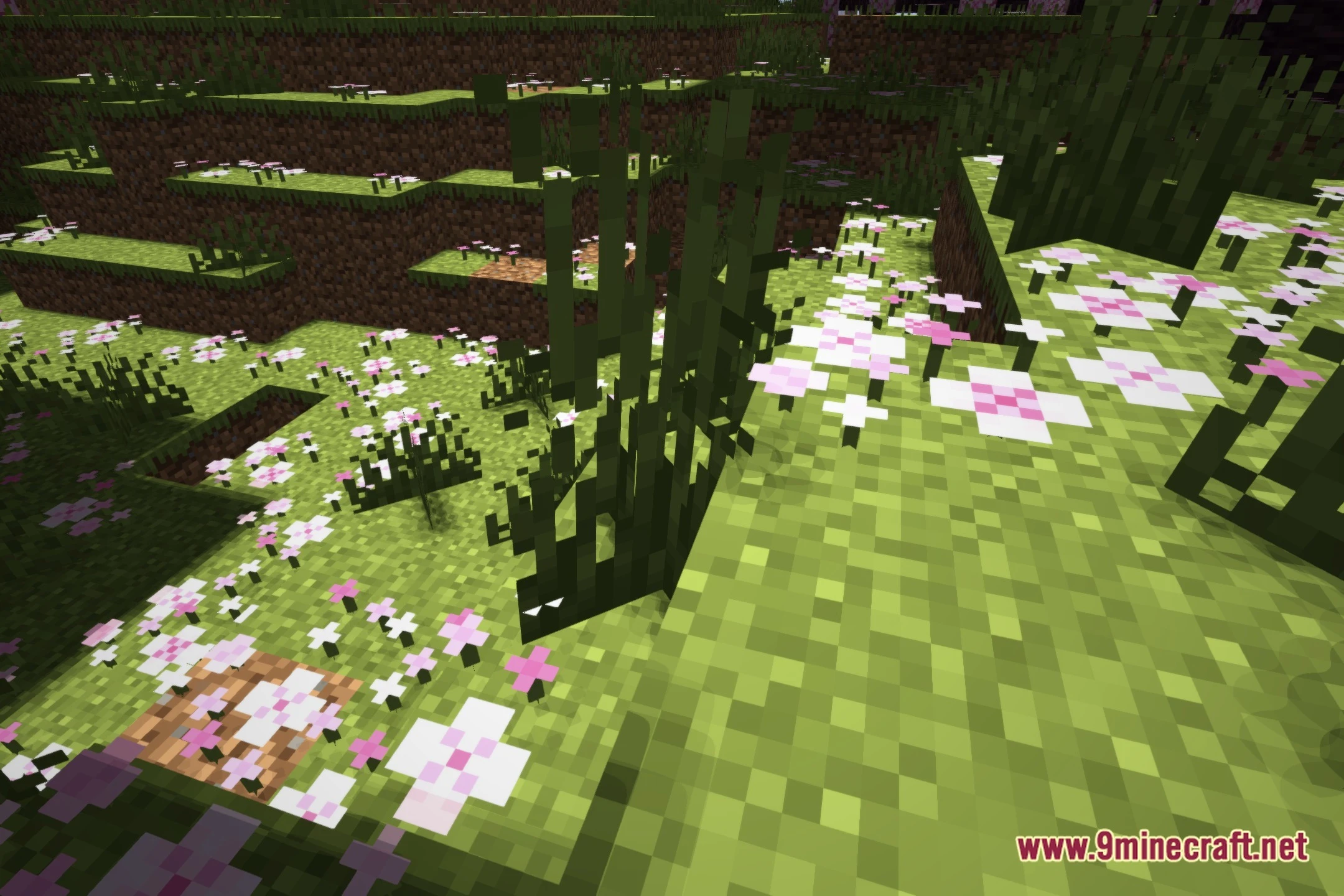 Barapag Shaders (26.3, 1.20.1) – Warm Lighting And Soft Shadows 2 Barapag shaders screenshot 1