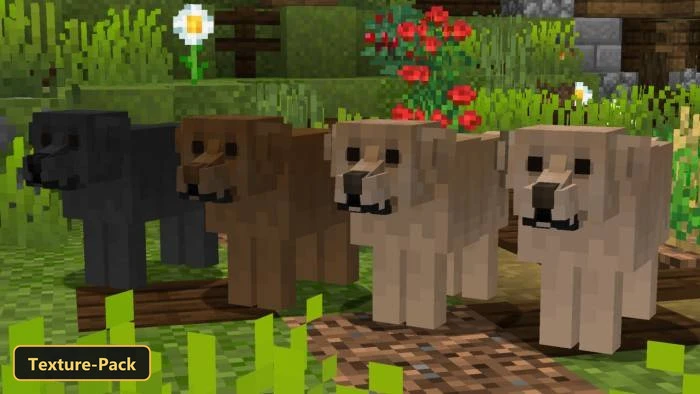 Better Dogs (26+, 1.21) – Mcpe/Bedrock Texture Pack 2 Four labrador retriever models in a grassy garden biome