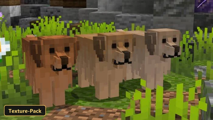 Better Dogs (26+, 1.21) – Mcpe/Bedrock Texture Pack 4 Three golden retriever models in a grassy garden biome