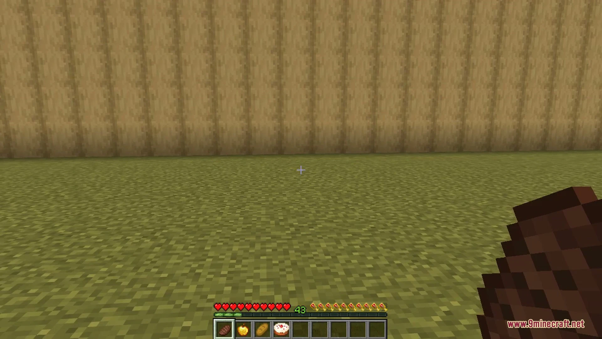 Better food & hunger hud 9minecraft mod screenshot 2