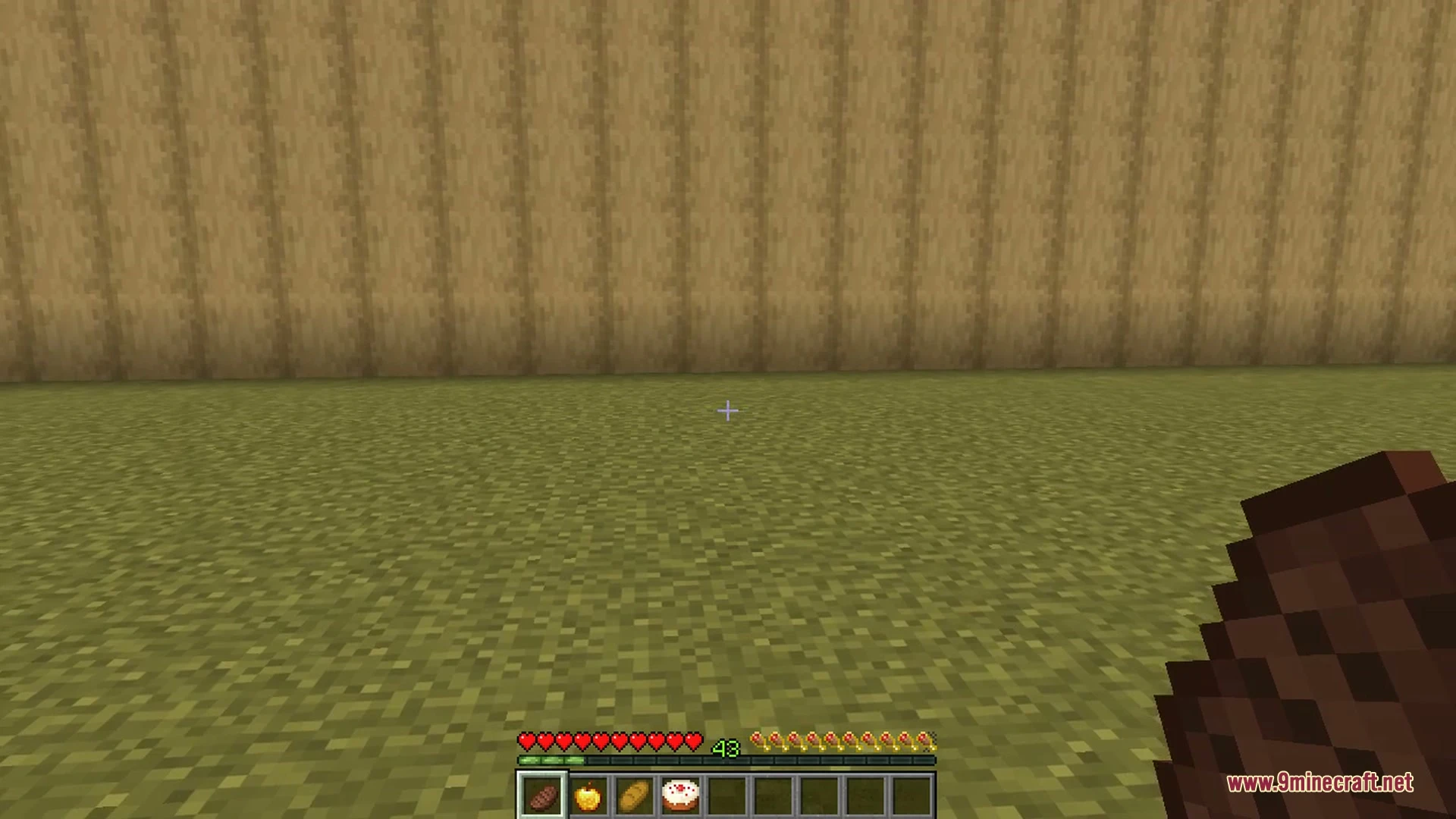 Better food & hunger hud 9minecraft mod screenshot 3