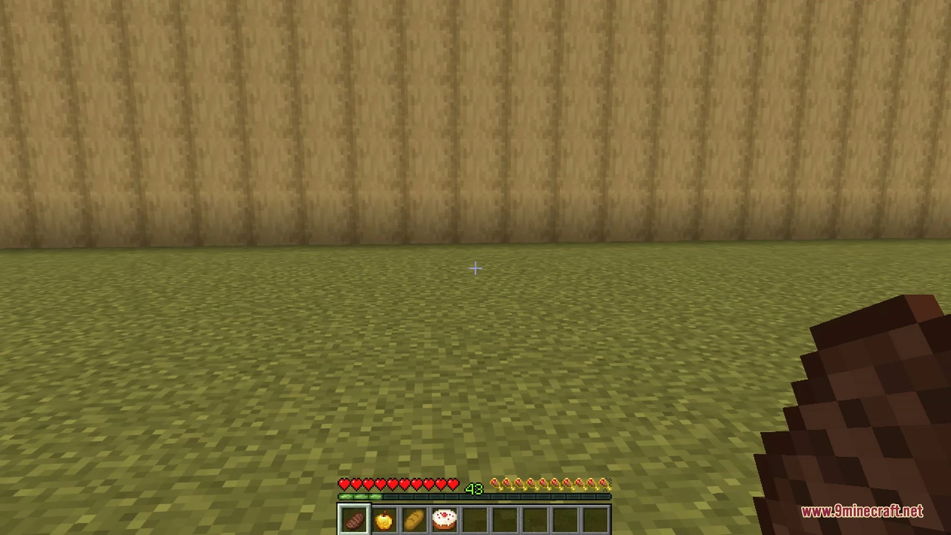 Better food & hunger hud 9minecraft mod screenshot 4