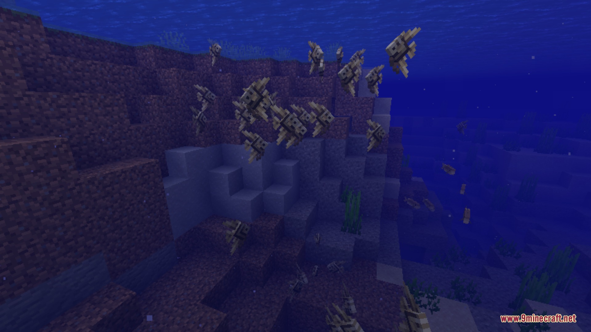 Bountiful Critters Mod (1.20.1) – Collect Wild Beasts And Tame Loyal Base 5 Bountiful critters mod screenshot 4