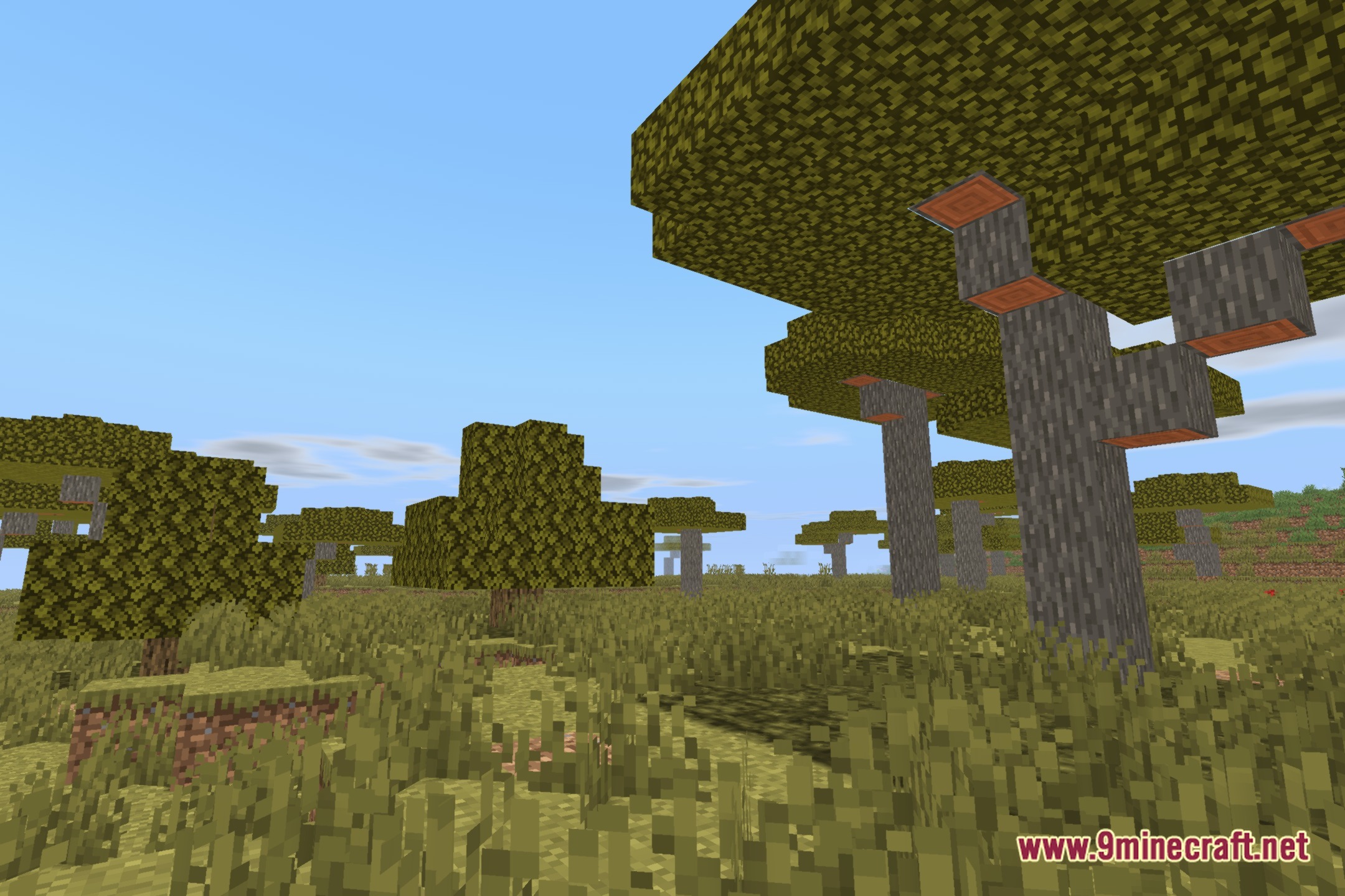 Brisa lite shaders screenshot 11