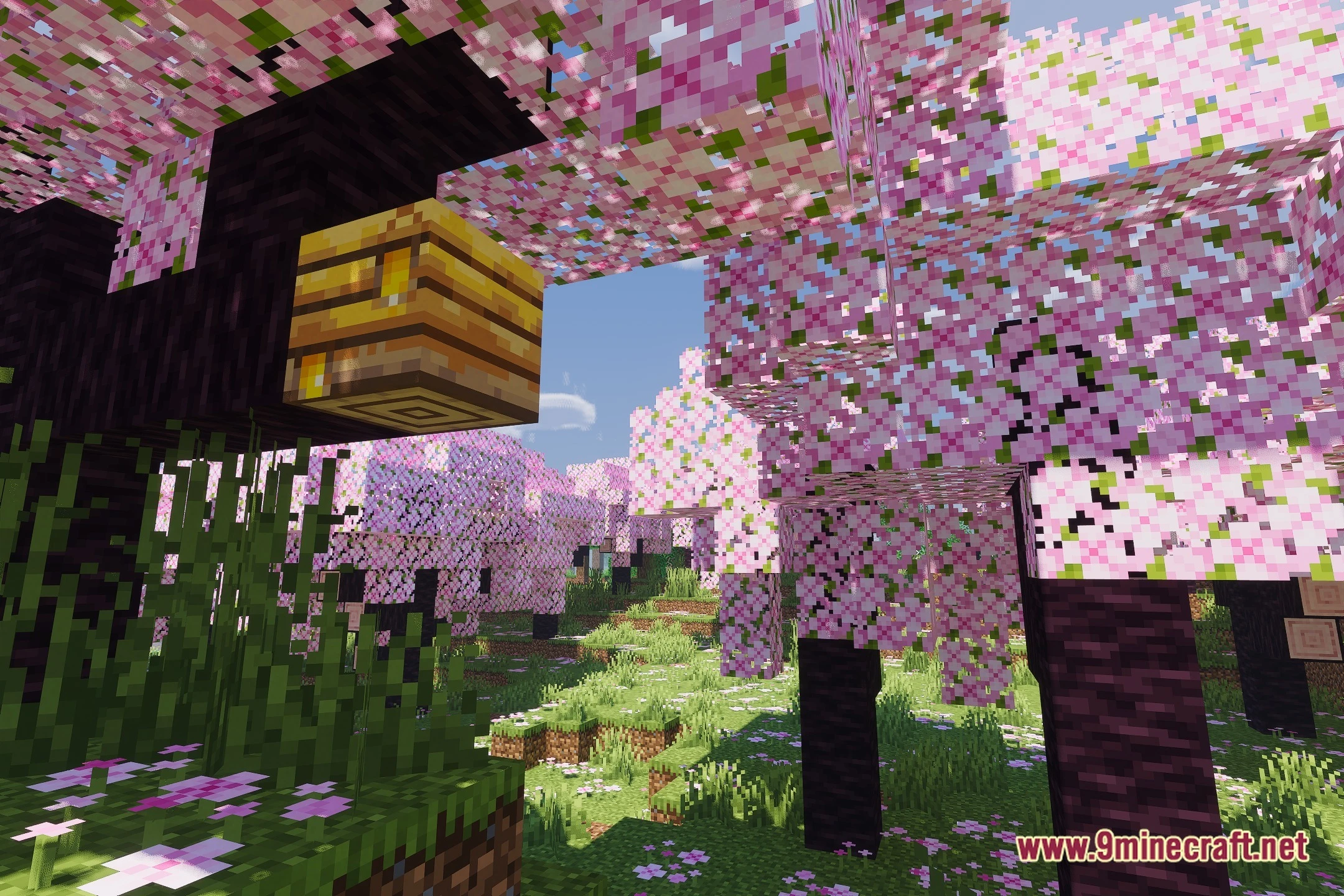 Coral Vxgi Shaders (26.3, 1.20.1) – Real-Time Voxel Global Illumination 2 Coral vxgi shaders screenshot 1