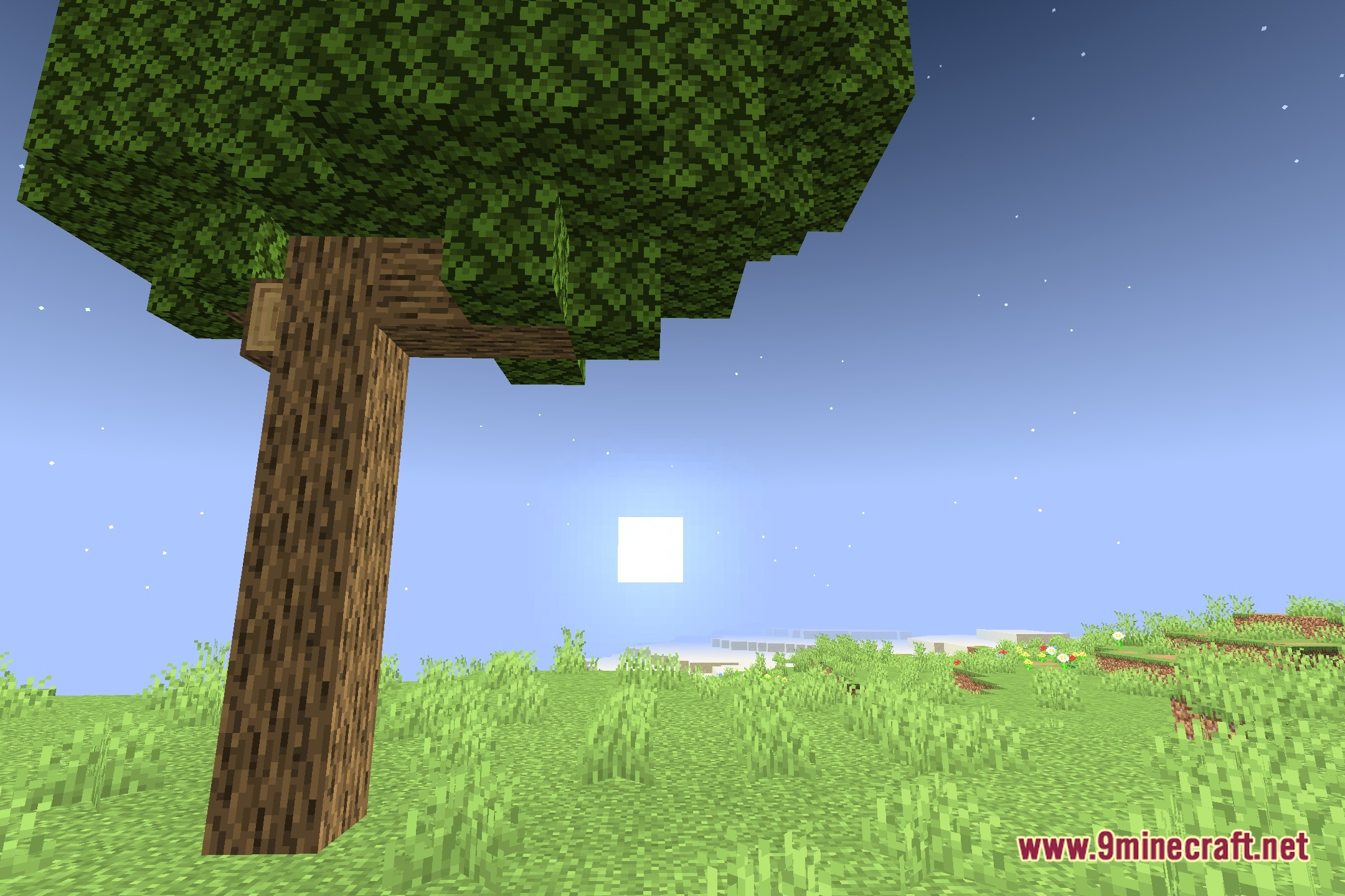 Colorfulvanillalights Shaders (26.3, 1.20.1) – True Colored Block Lighting 5 Colorfulvanillalights shaders screenshot 4