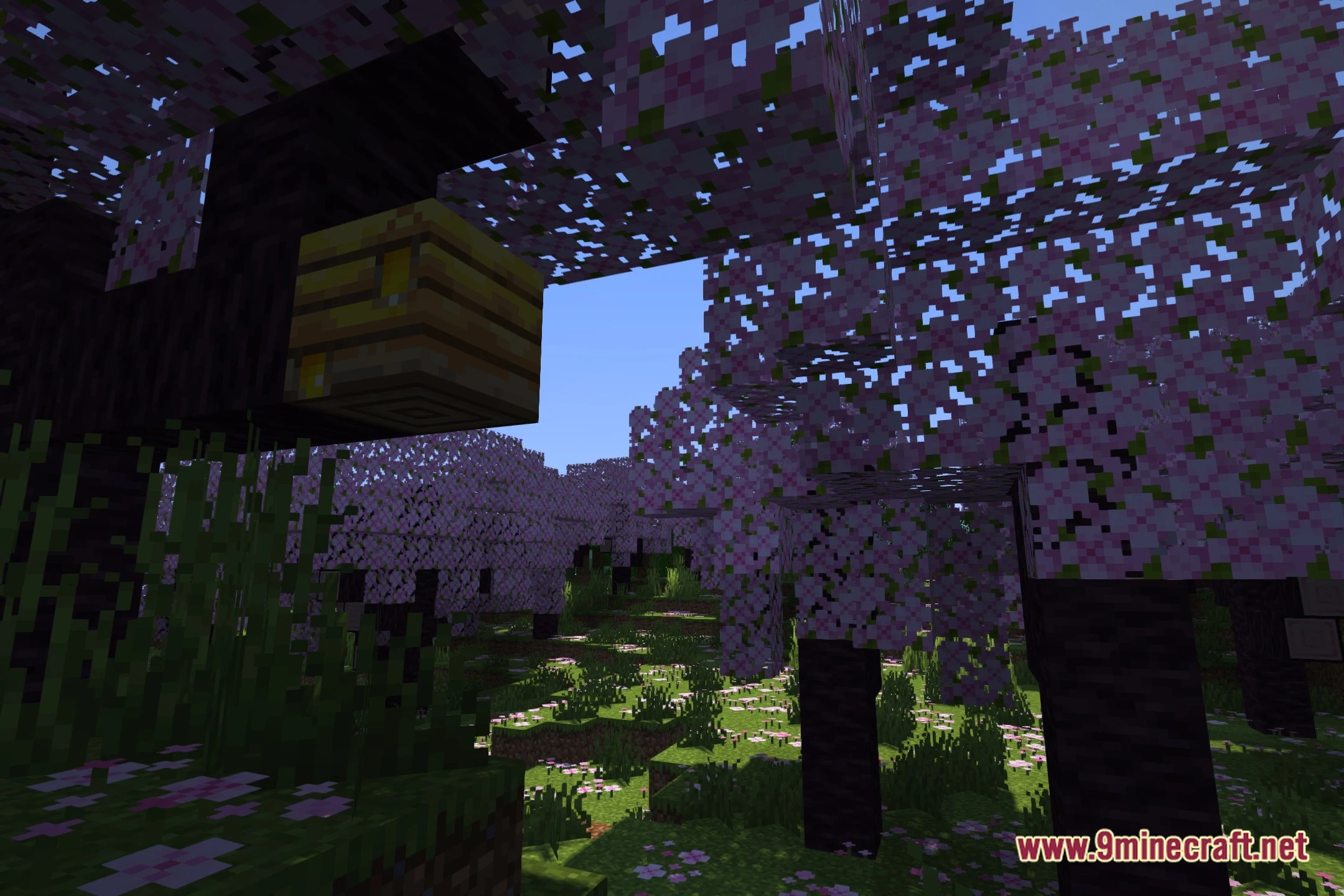 Cookie313’S Shaders (26.3, 1.20.1) – Realistic Lighting For Low-End Pcs 2 Cookie313's shaders screenshot 1