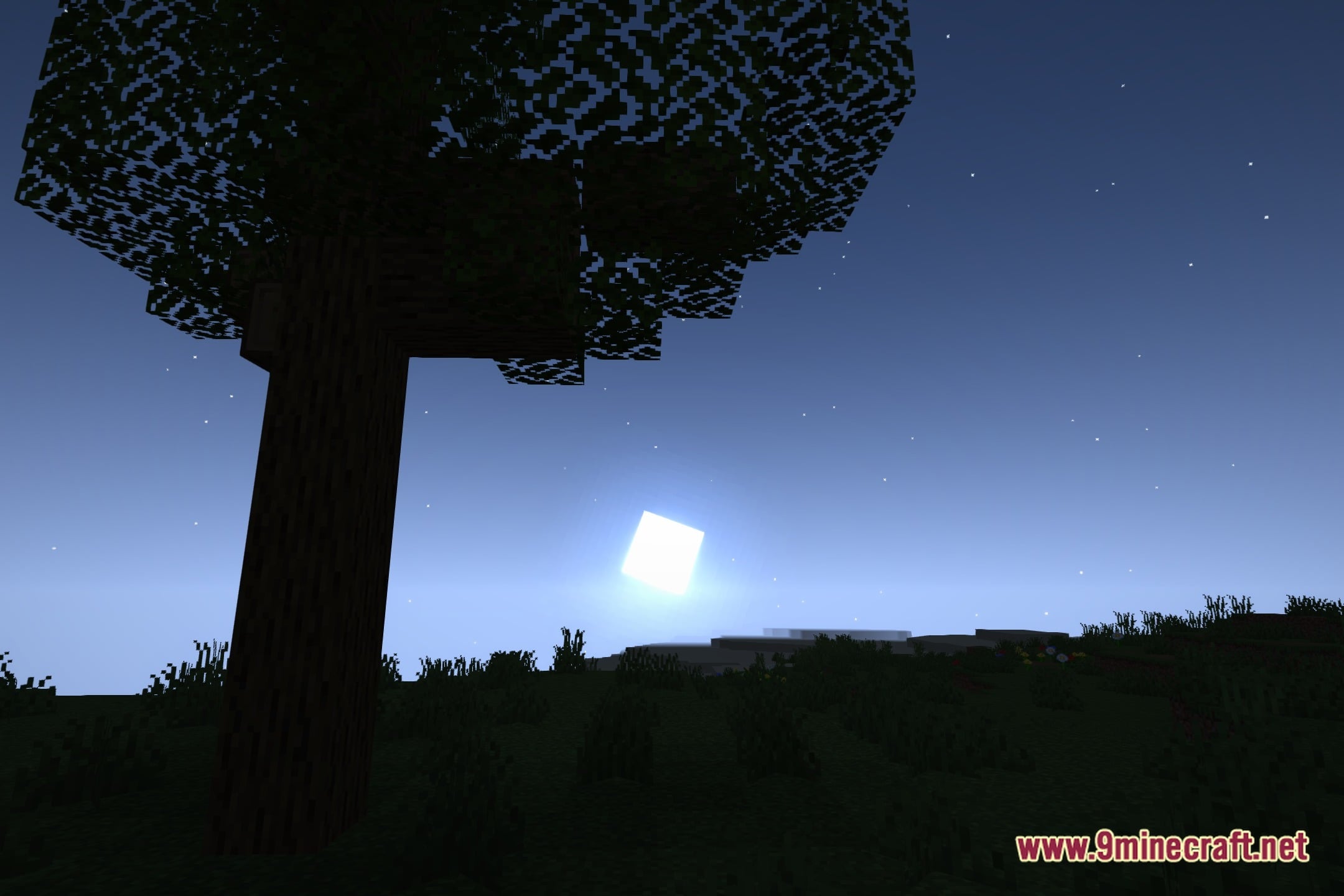Cookie313’S Shaders (26.3, 1.20.1) – Realistic Lighting For Low-End Pcs 5 Cookie313's shaders screenshot 4