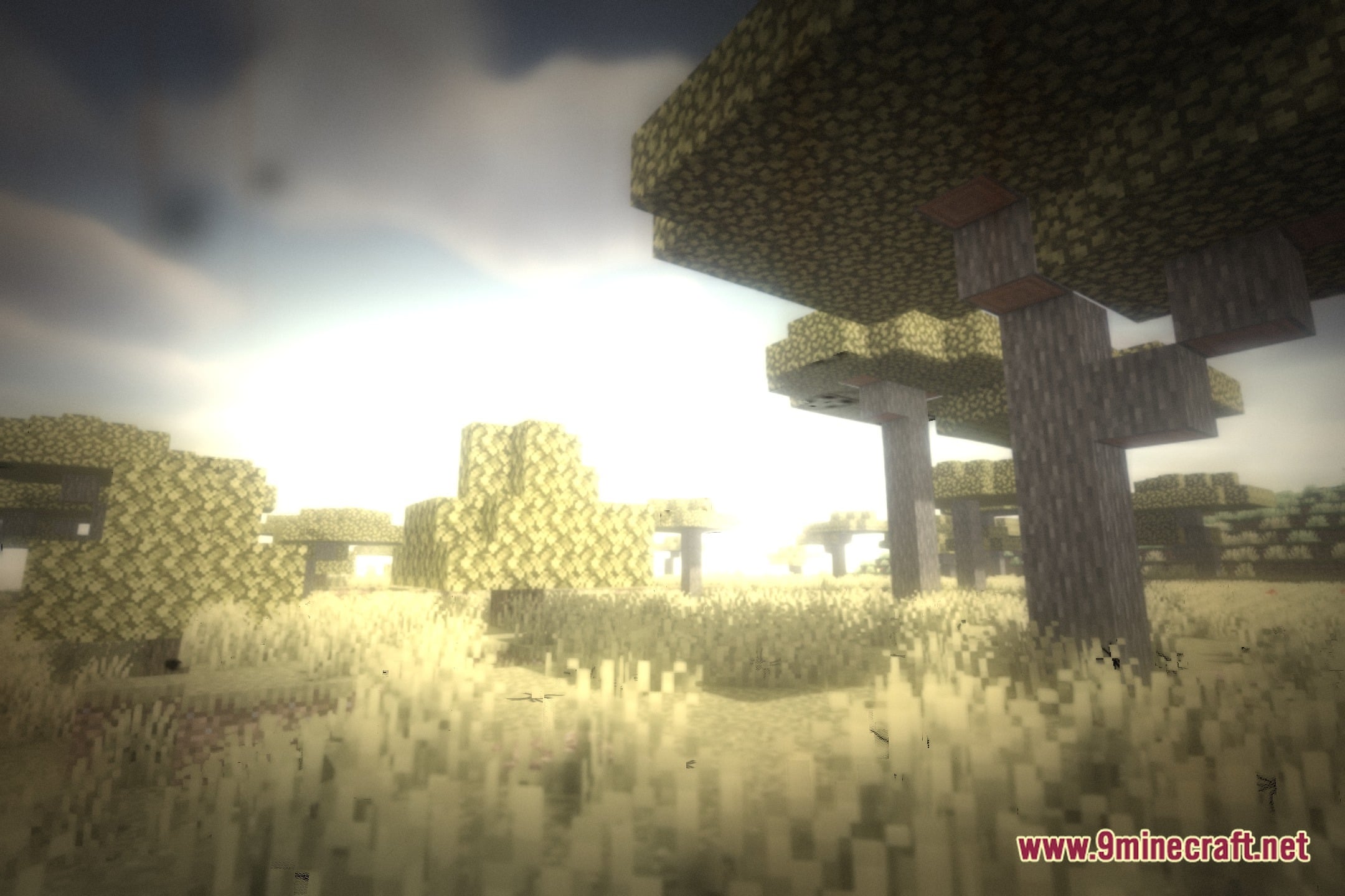 Delirium Shaders (26.3, 1.20.1) – Creepy Hallucinations And Shadow Figures 12 Delirium shaders screenshot 11