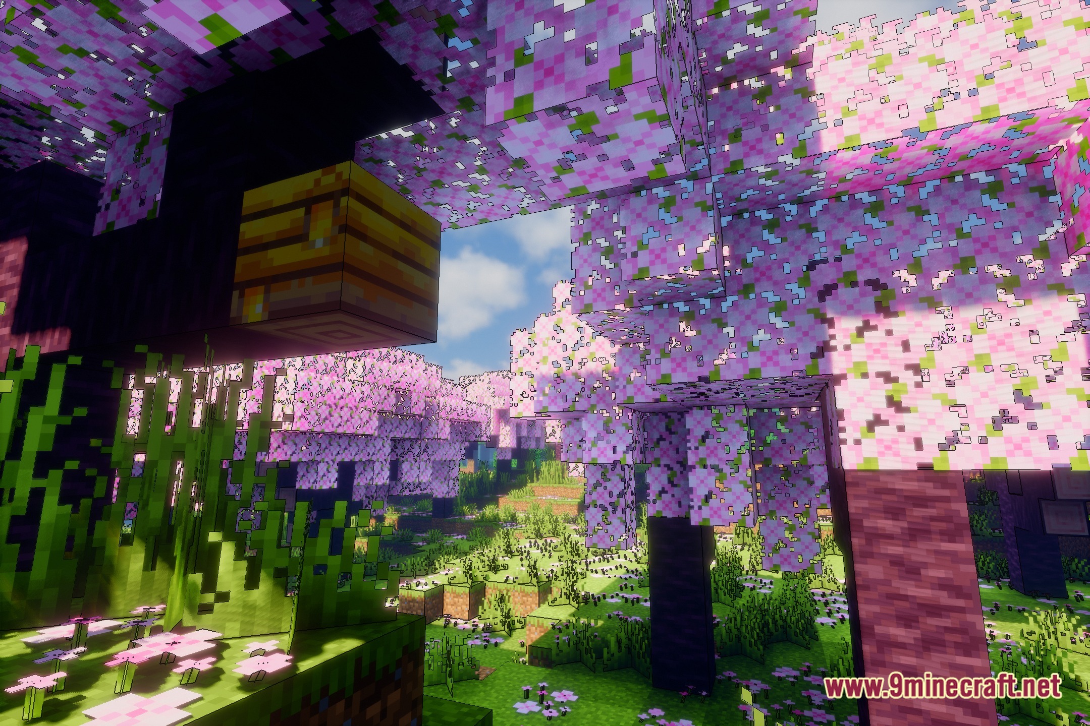 Evelite Toon Shaders (26.3, 1.20.1) – Anime Visuals With Realistic Shading 2 Evelite toon shaders screenshot 1