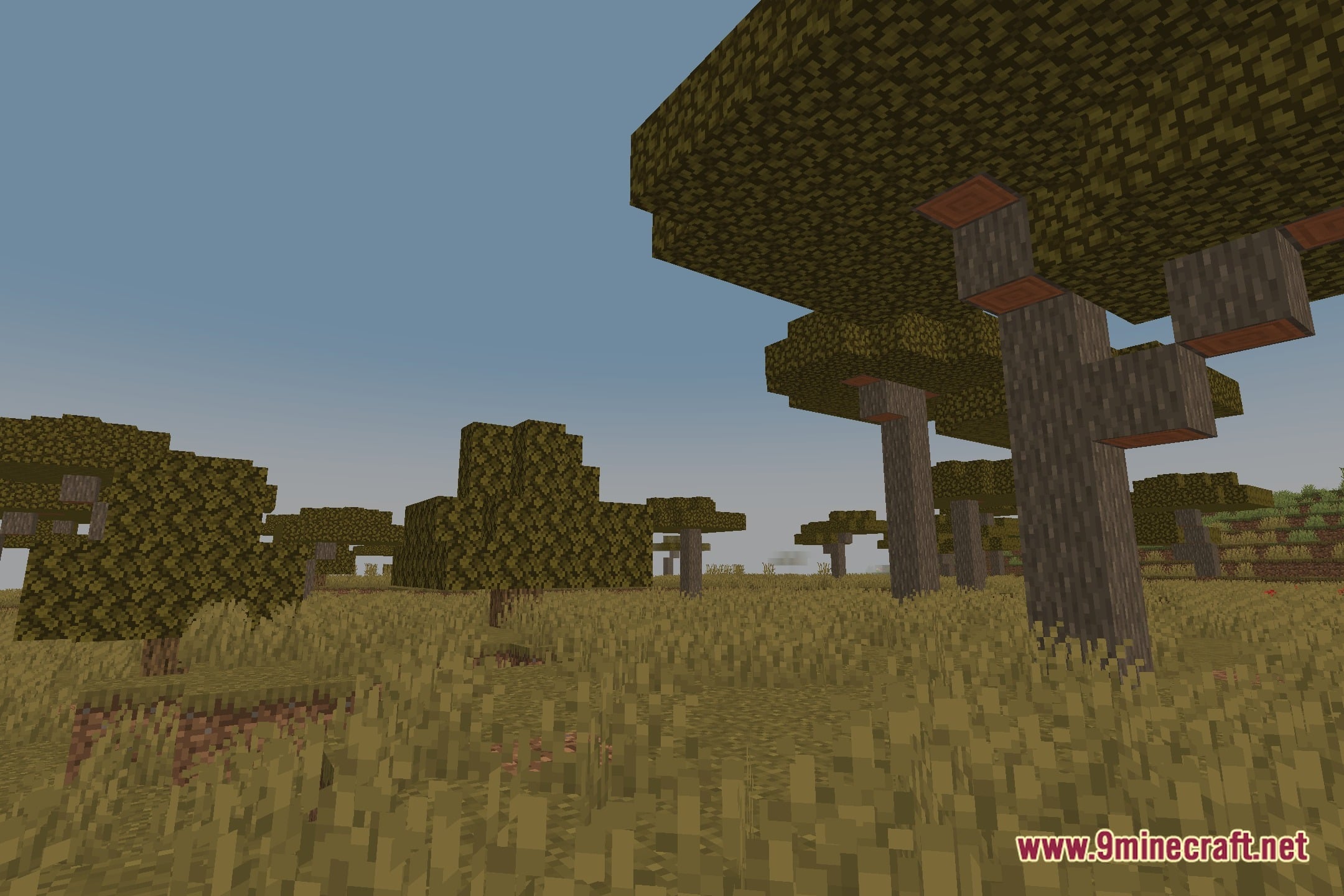 Eyecomfort Shaders (26.3, 1.20.1) – Warm Lighting And Tone Sliders 12 Eyecomfort shaders screenshot 11