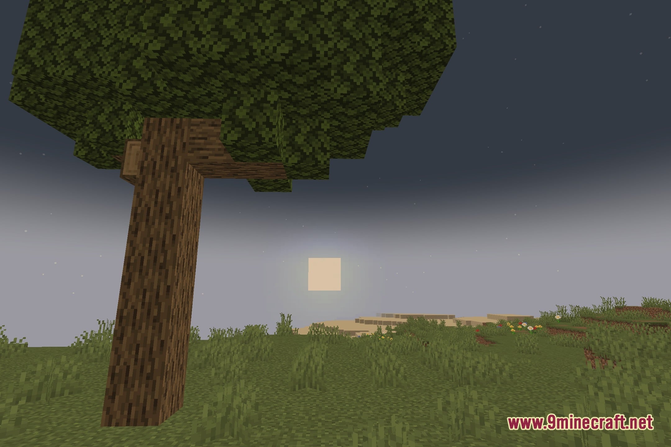 Eyecomfort Shaders (26.3, 1.20.1) – Warm Lighting And Tone Sliders 5 Eyecomfort shaders screenshot 4