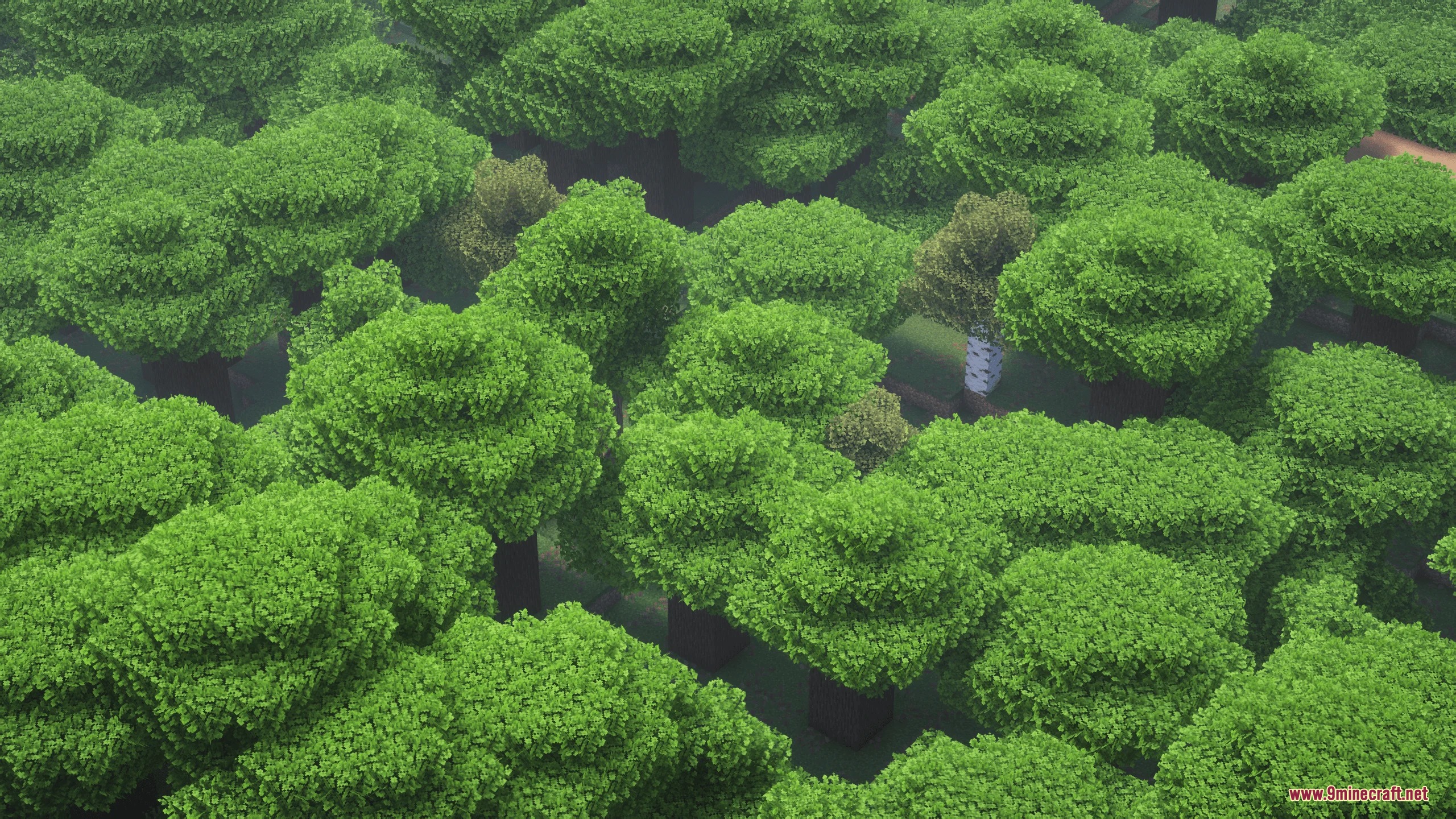 Goose’s Leaves Resource Pack (26.3, 1.21.11) – Bushy Canopies And Organic 5 Goose's leaves resource pack screenshot 4
