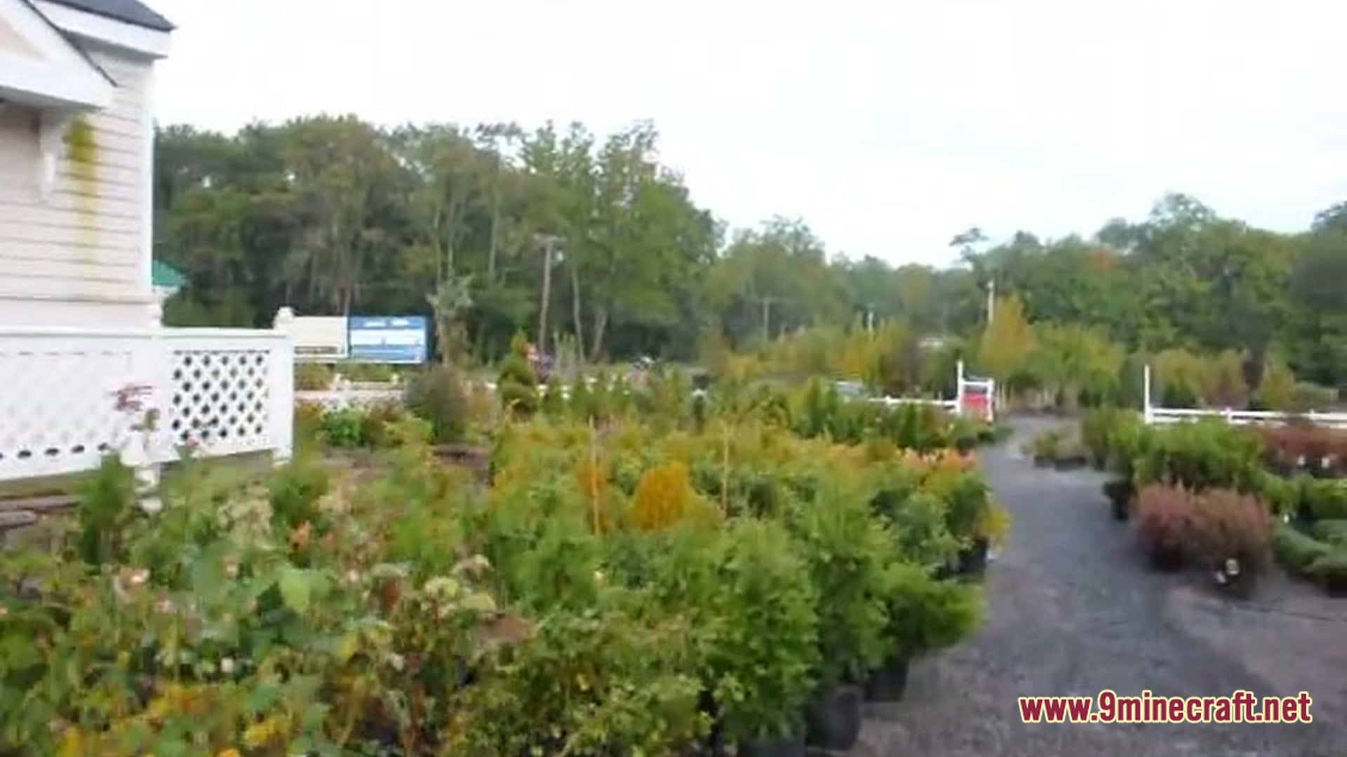Japanese maples acer palmatum map screenshot 4