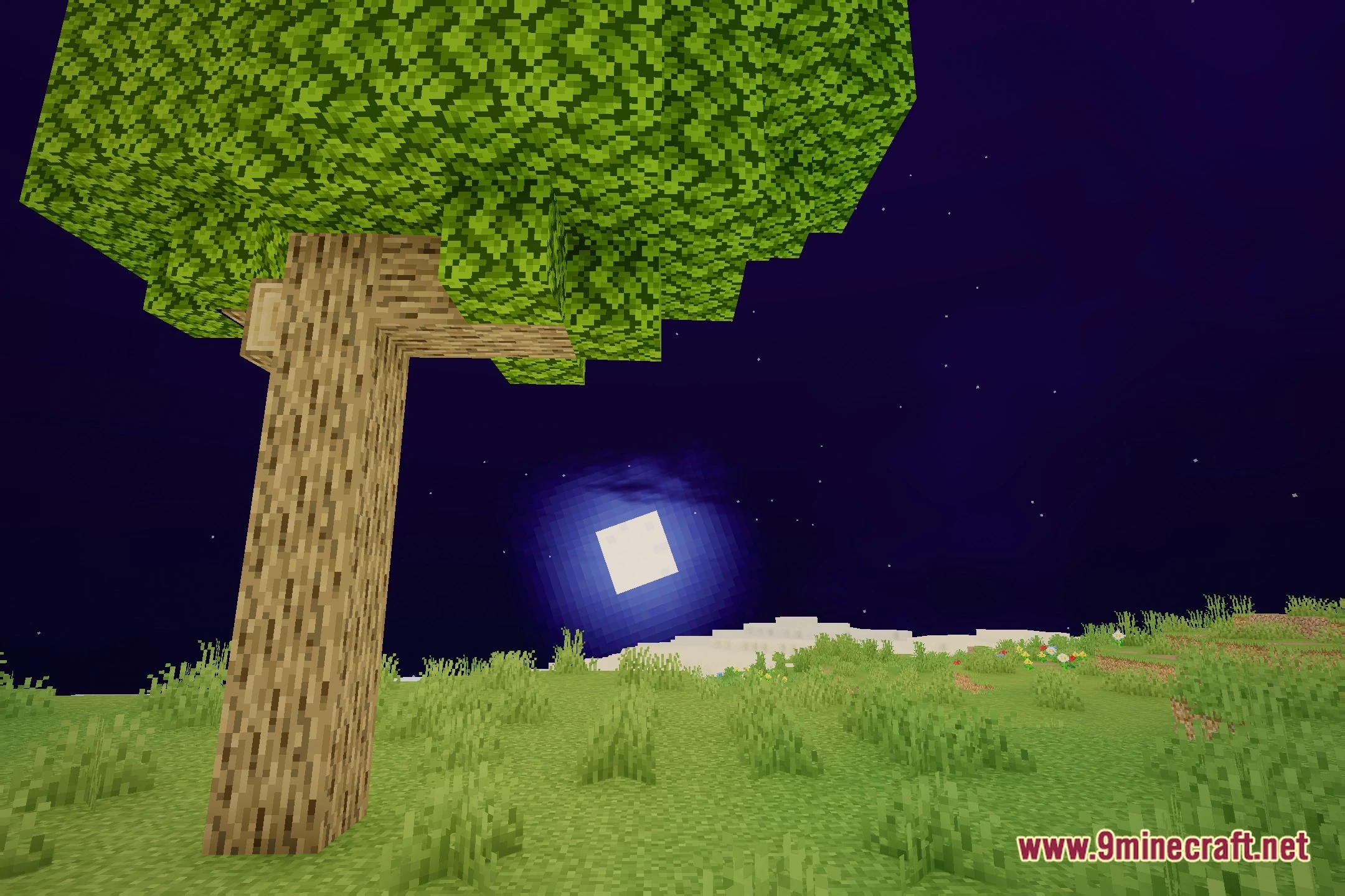 Laskes Shaders (26.3, 1.20.1) – Clear Water Reflections And Distinct Shadows 5 Laskes shaders screenshot 4