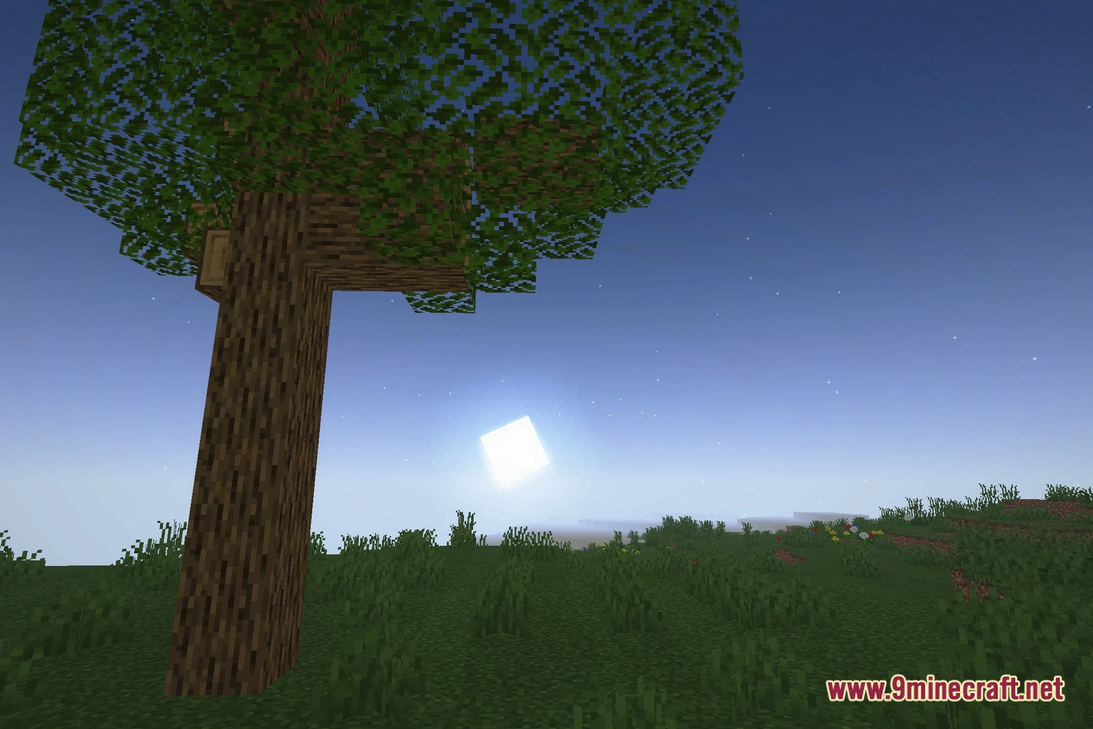 Lavi_Bloomz Shaders (26.3, 1.20.1) – Soft Bloom And Colored Lighting 5 Lavi_bloomz shaders screenshot 4