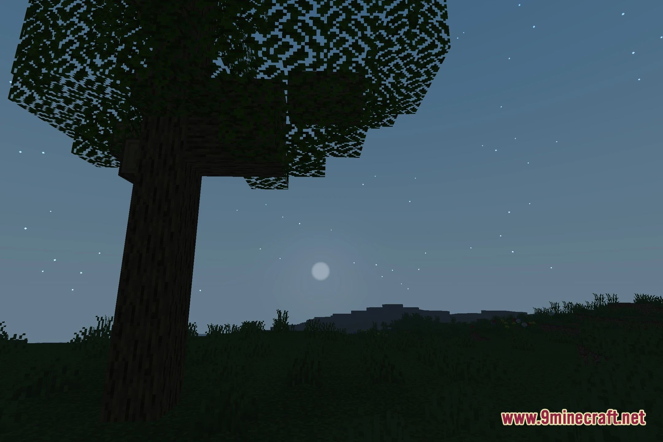 Limatrica Shaders (26.3, 1.20.1) – Realistic Lighting And Soft Shadows 4 Limatricashaders screenshot 3