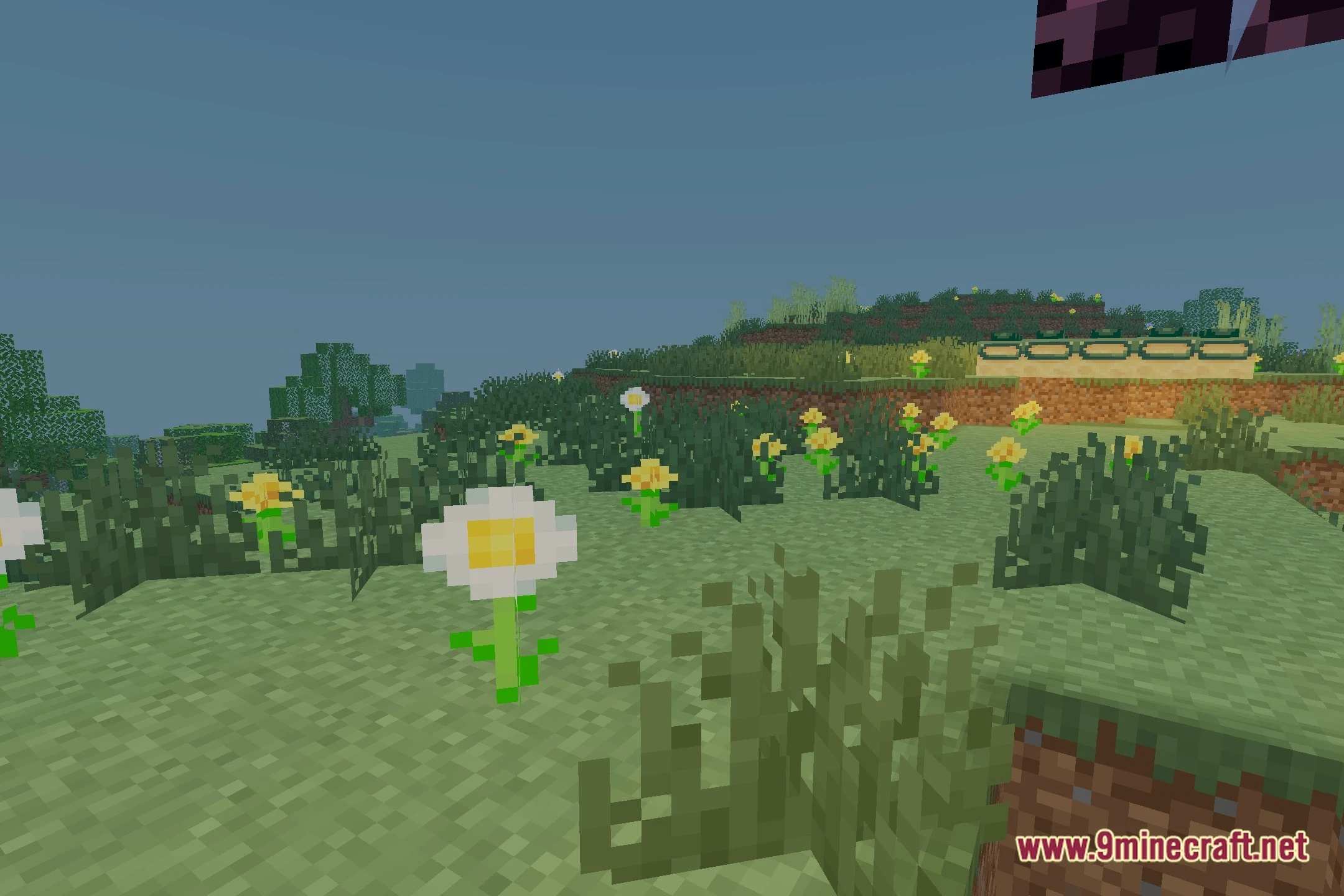 Limatrica Shaders (26.3, 1.20.1) – Realistic Lighting And Soft Shadows 5 Limatricashaders screenshot 4