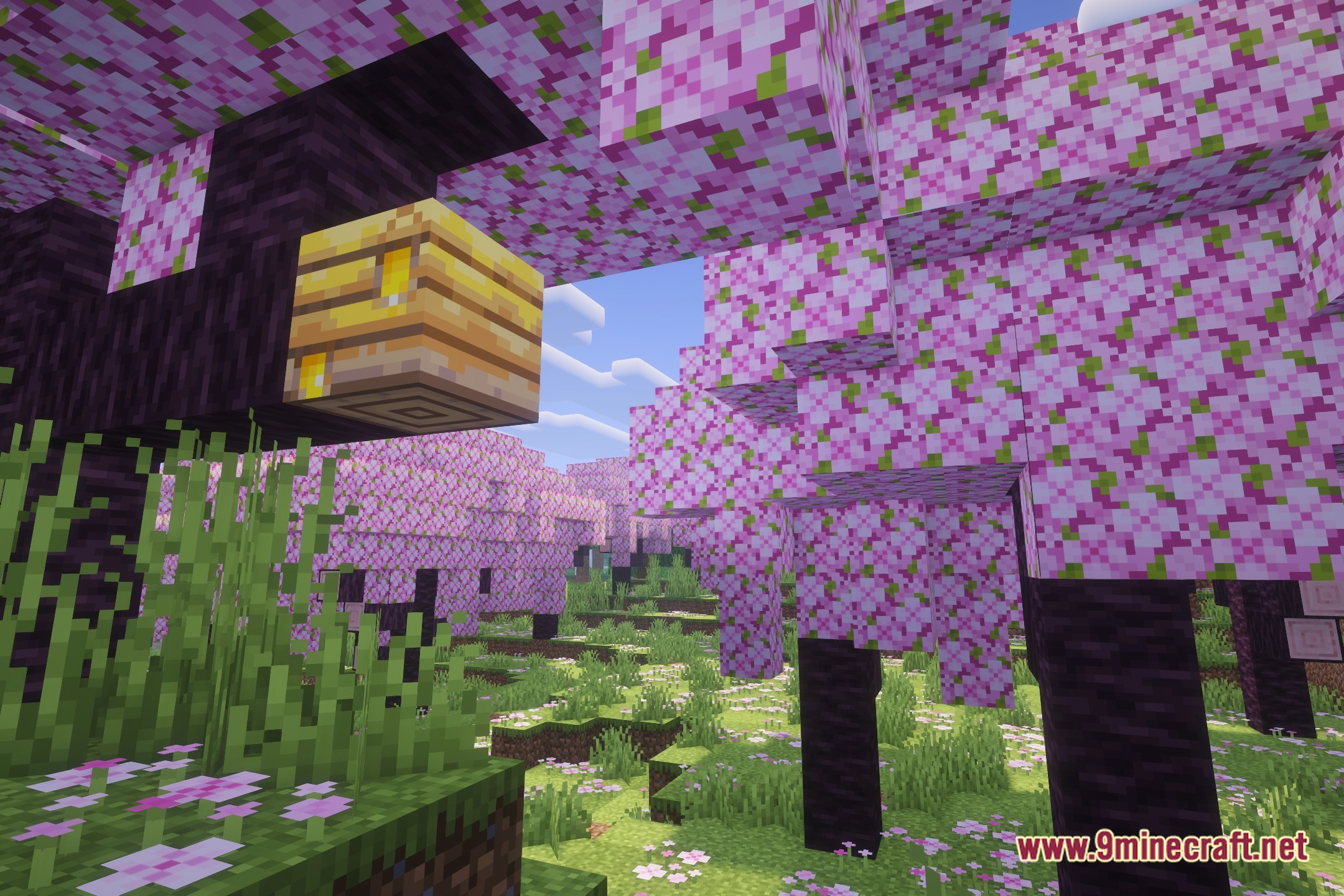 Lively Nature Shaders (26.3, 1.20.1) – Colored Lighting And Pbr Materials 2 Lively nature shaders screenshot 1