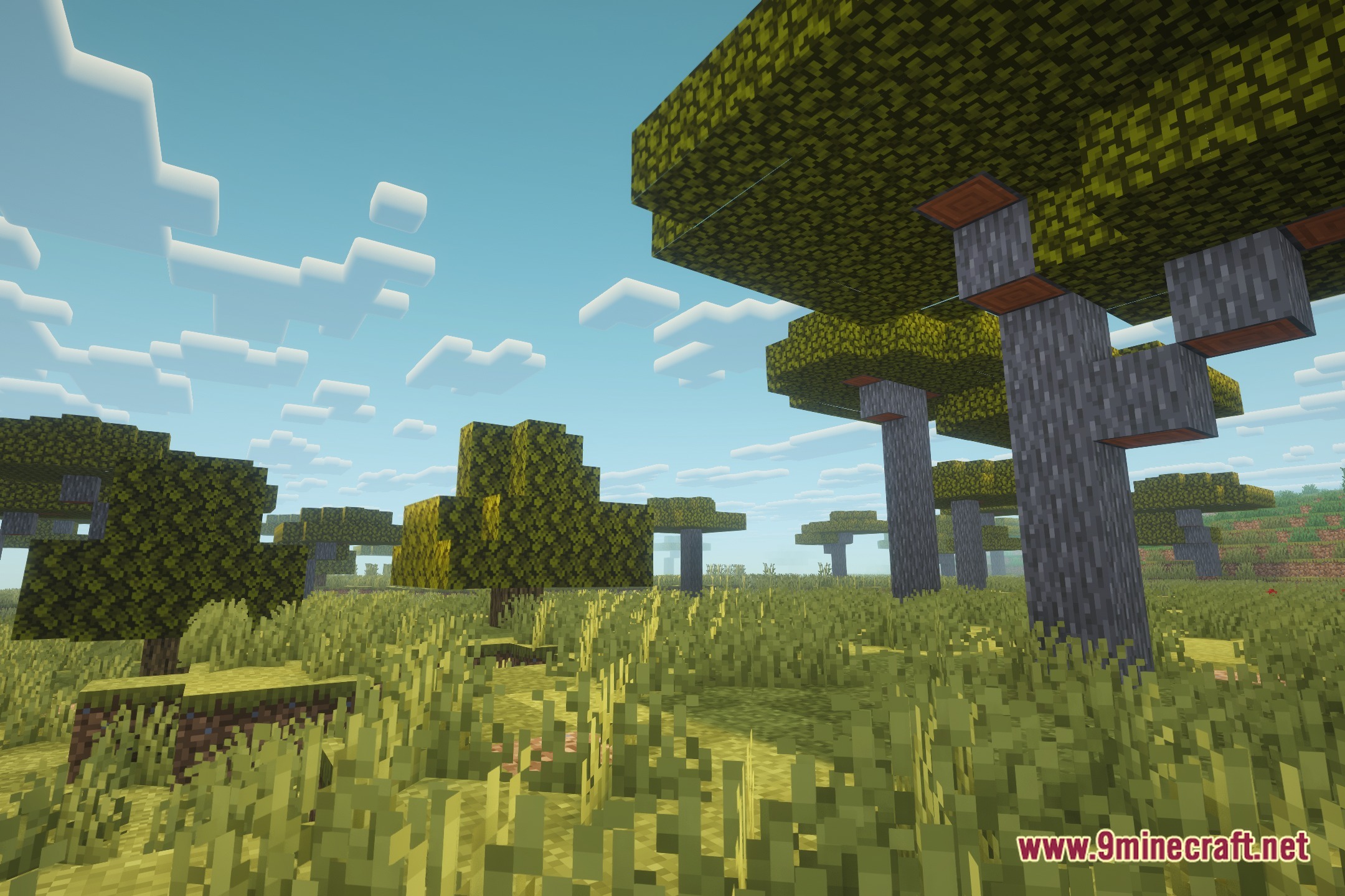 Lively Nature Shaders (26.3, 1.20.1) – Colored Lighting And Pbr Materials 12 Lively nature shaders screenshot 11
