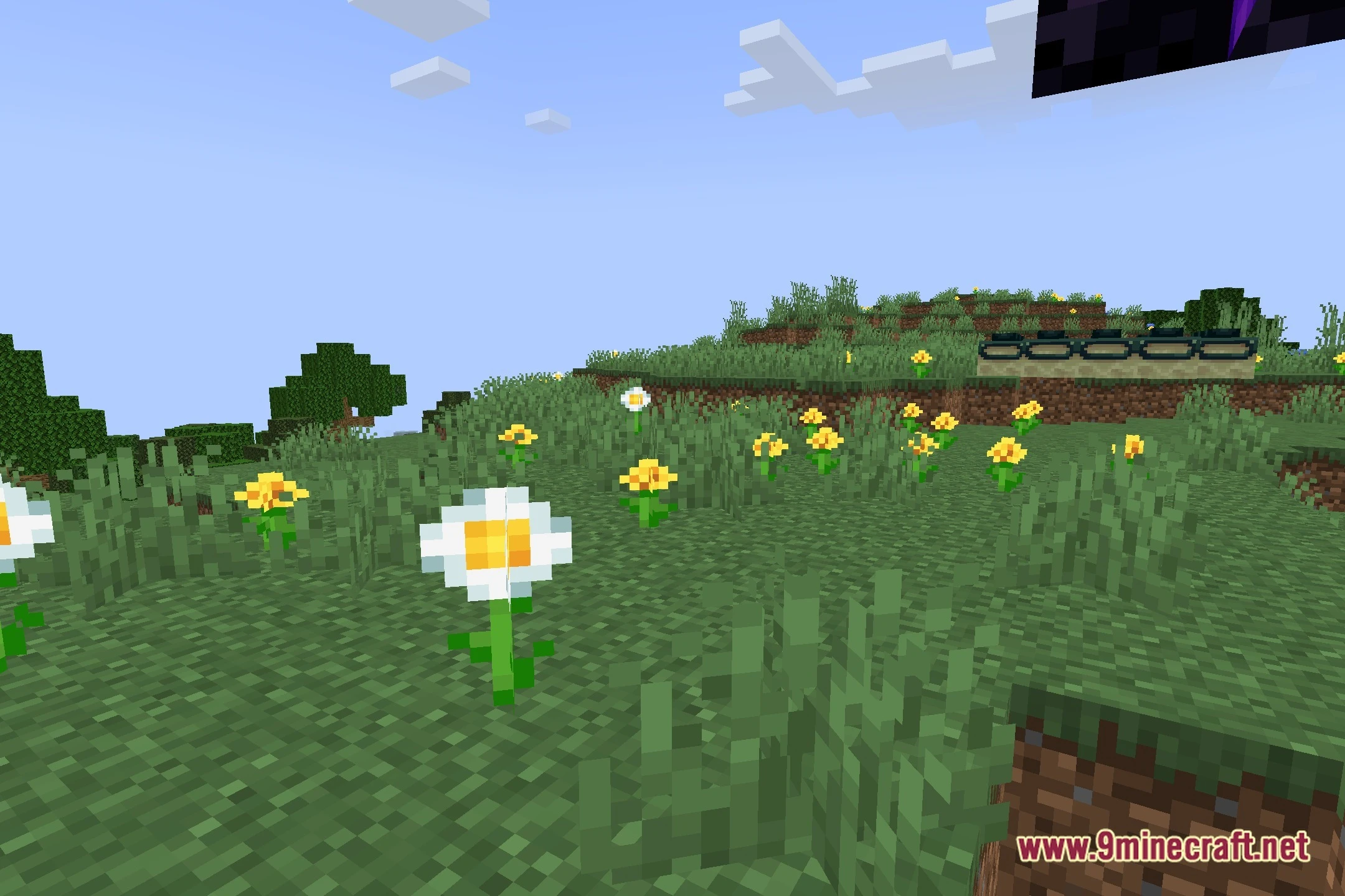 Lpss minecraft shaders screenshot 3