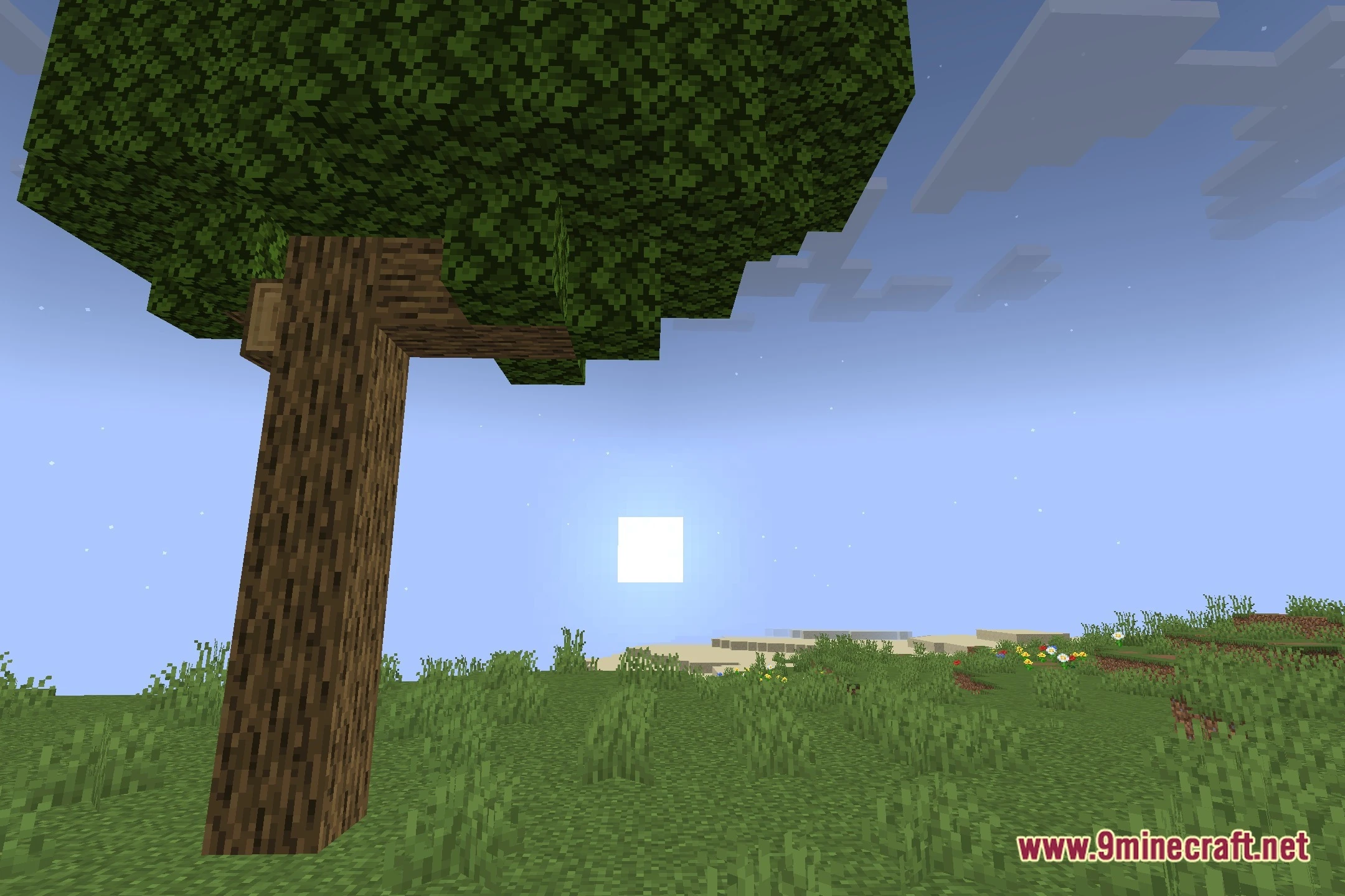 Lpss minecraft shaders screenshot 4