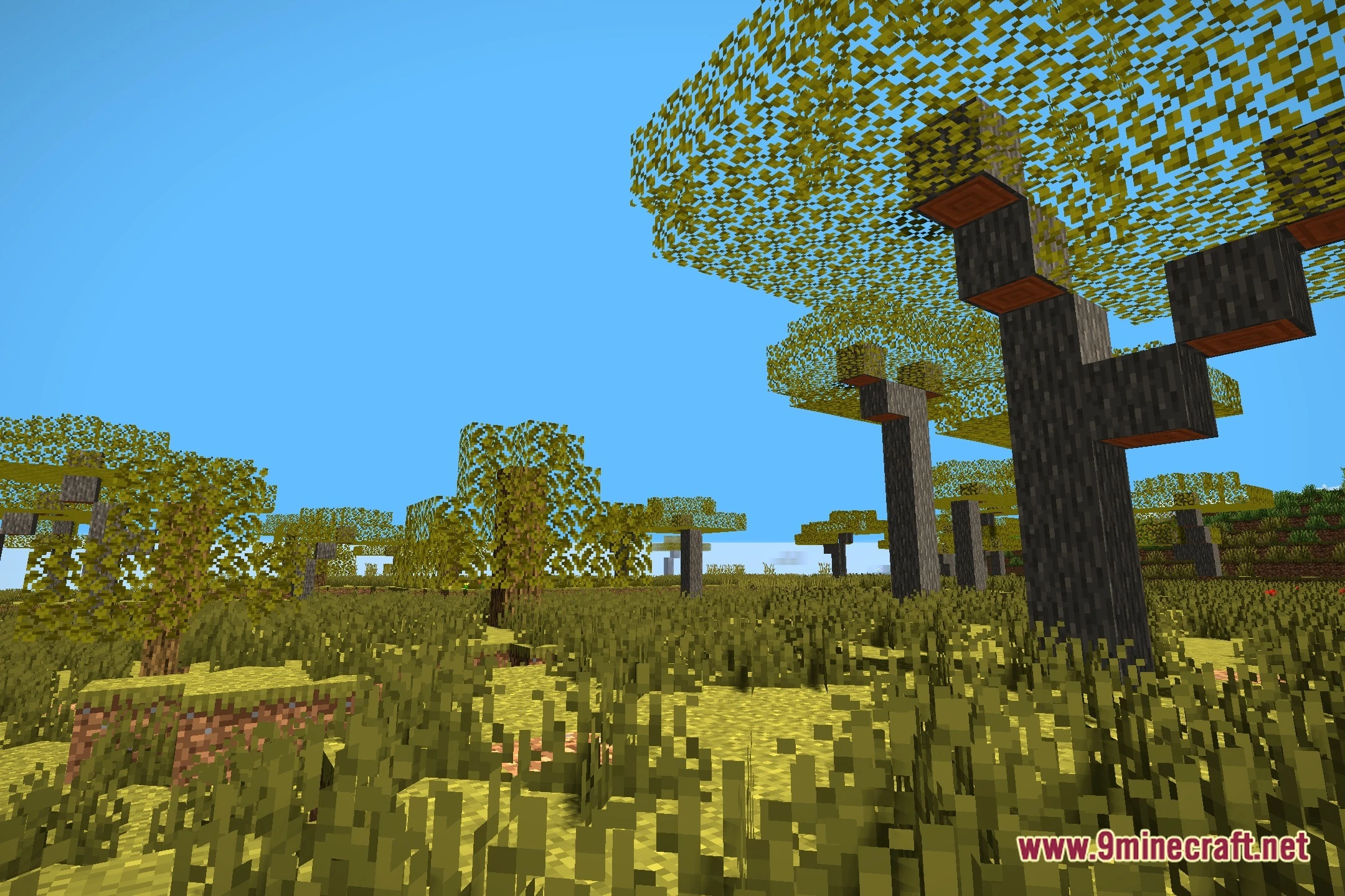 Meadowlight Shaders (26.3, 1.20.1) – Soft Shadows And Clean Sunlight 13 Meadowlight shaders screenshot 12