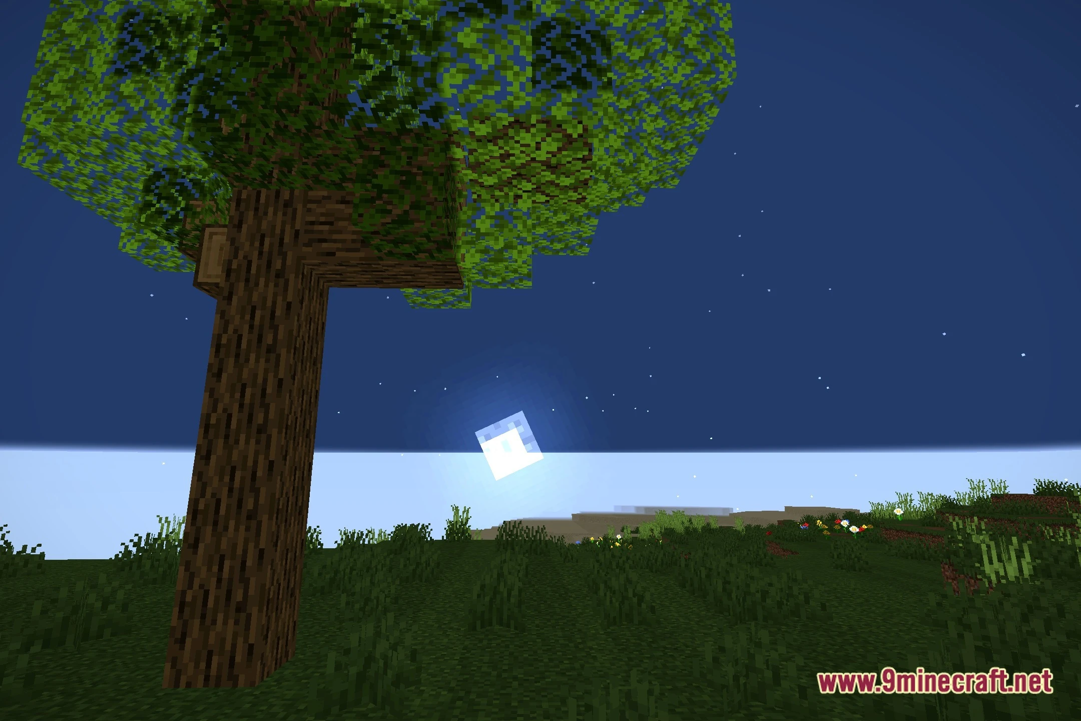 Meadowlight Shaders (26.3, 1.20.1) – Soft Shadows And Clean Sunlight 5 Meadowlight shaders screenshot 4
