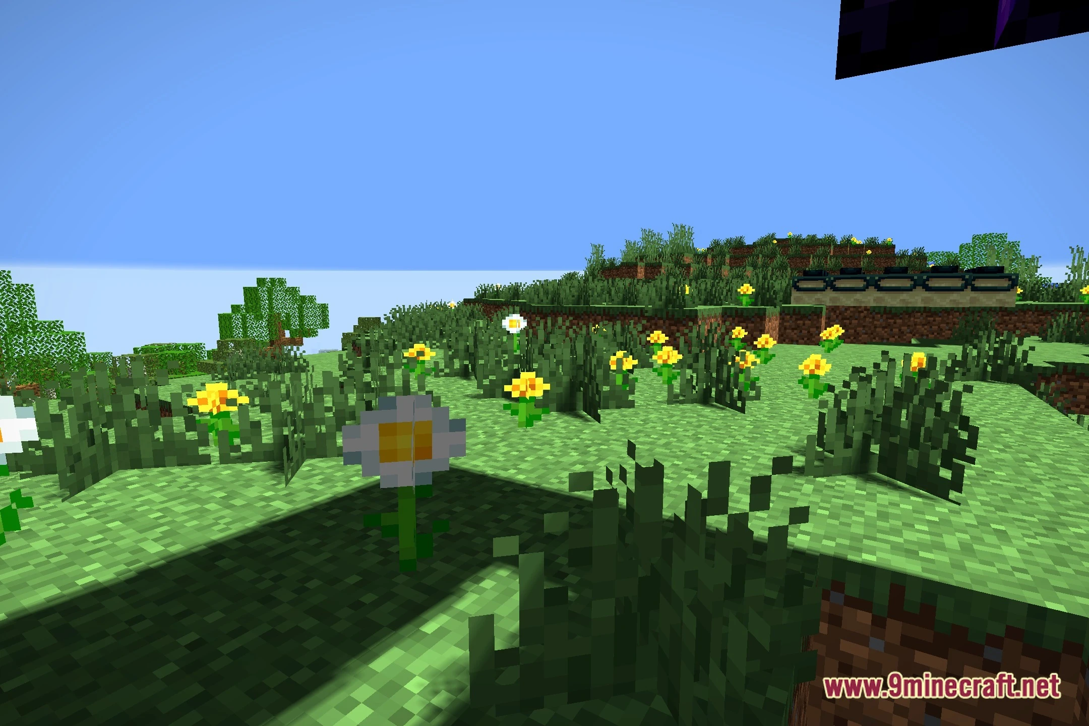 Meadowlight Shaders (26.3, 1.20.1) – Soft Shadows And Clean Sunlight 6 Meadowlight shaders screenshot 5