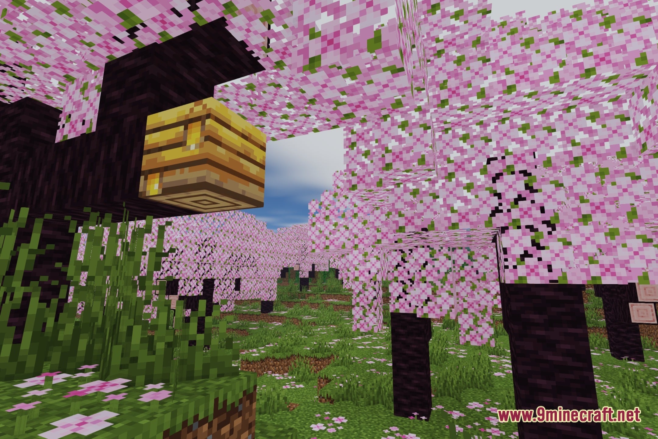 Natural Comfort Shaders (26.3, 1.20.1) – Soft Shadows And Water Reflections 2 Natural comfort shaders screenshot 1