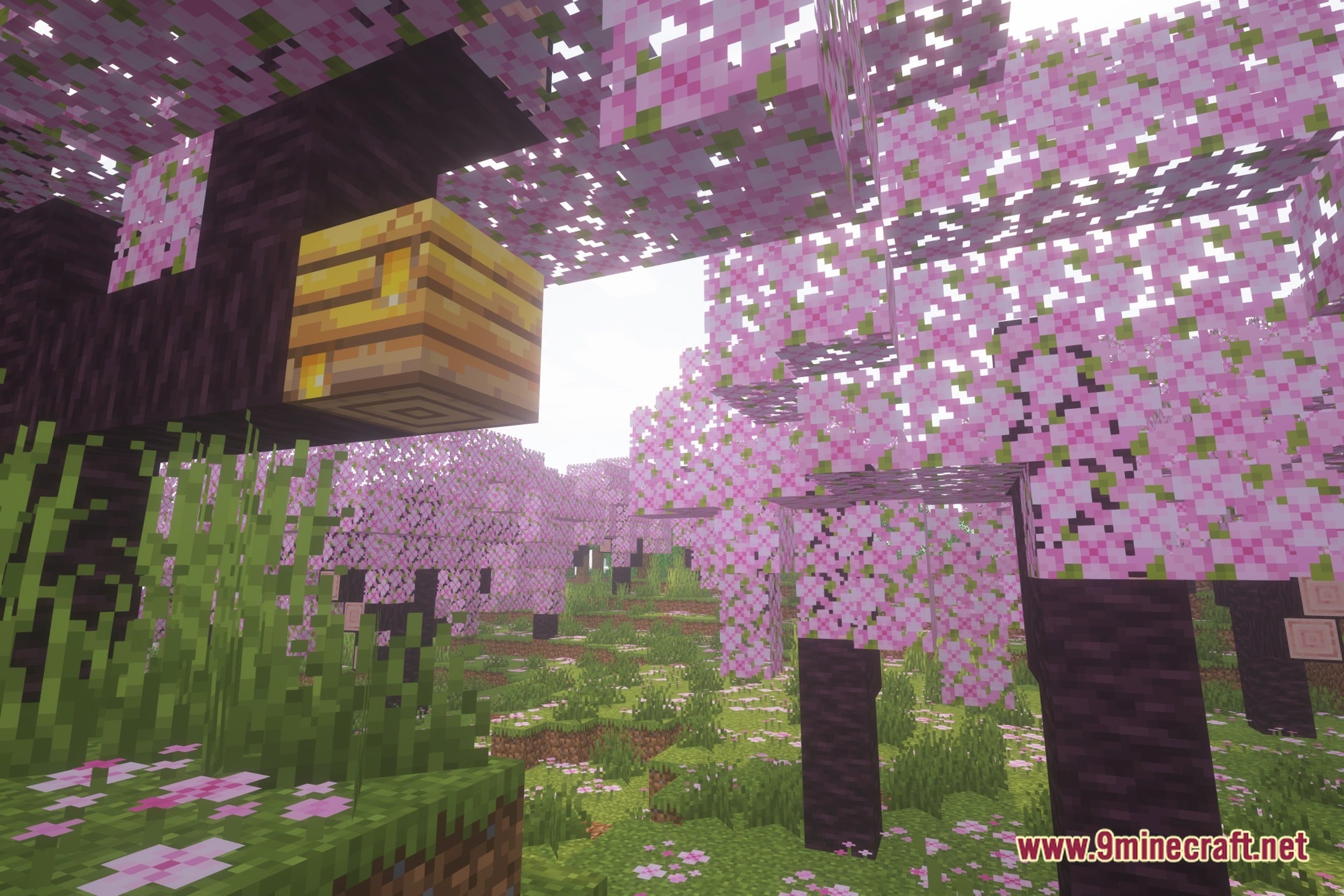 Noobie Shaders (26.3, 1.20.1) – Pastel Color Presets For Low-End Pcs 2 Noobie shaders screenshot 1