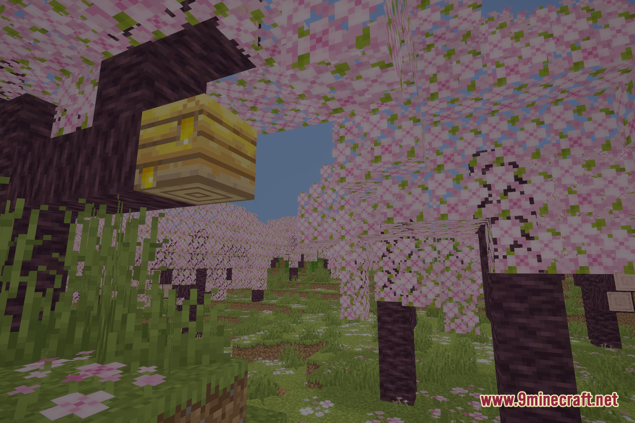 Novashine Shaders (26.3, 1.20.1) – Soft Shadows And Balanced Lighting 2 Novashine shaders screenshot 1