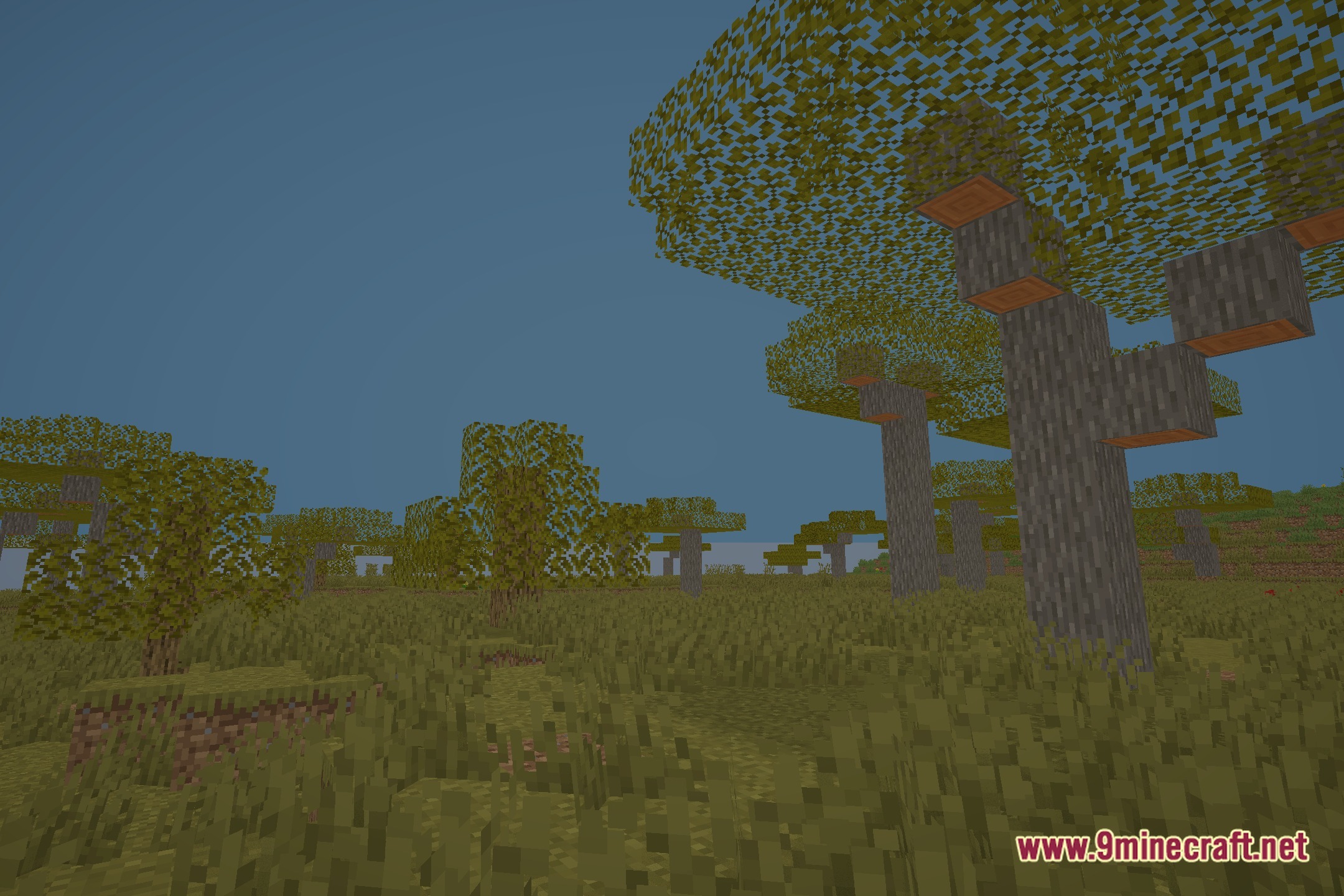 Novashine Shaders (26.3, 1.20.1) – Soft Shadows And Balanced Lighting 9 Novashine shaders screenshot 8