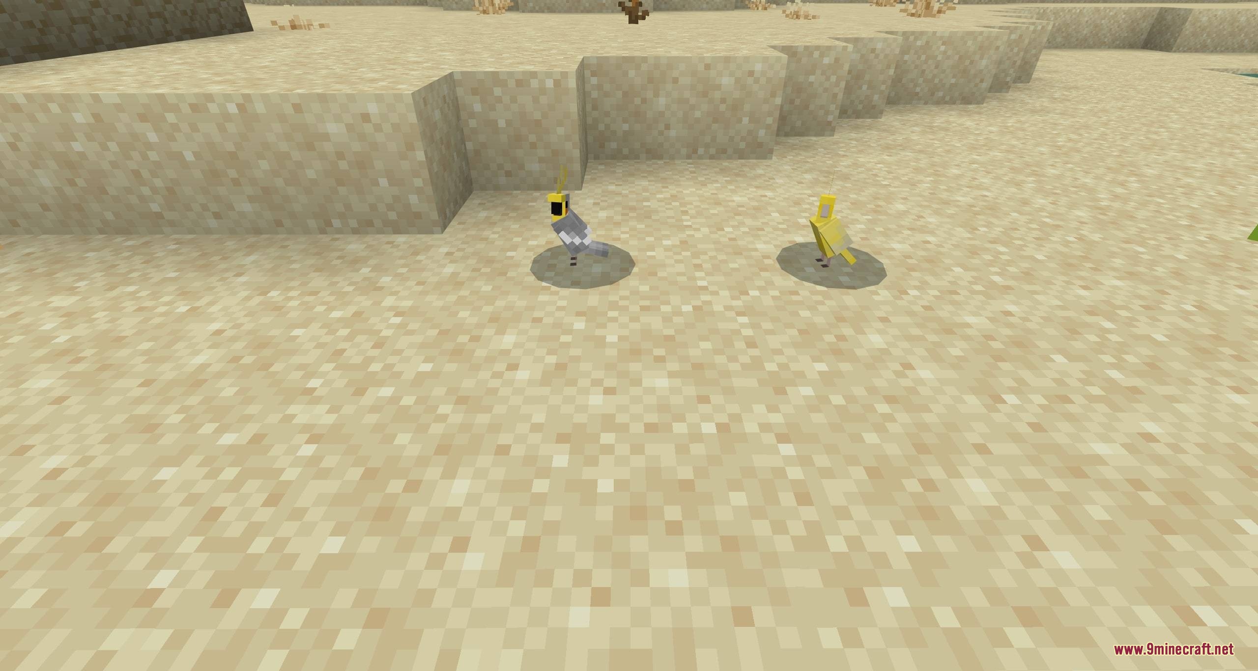 Parrots o' plenty parrot expansion mod screenshot 2