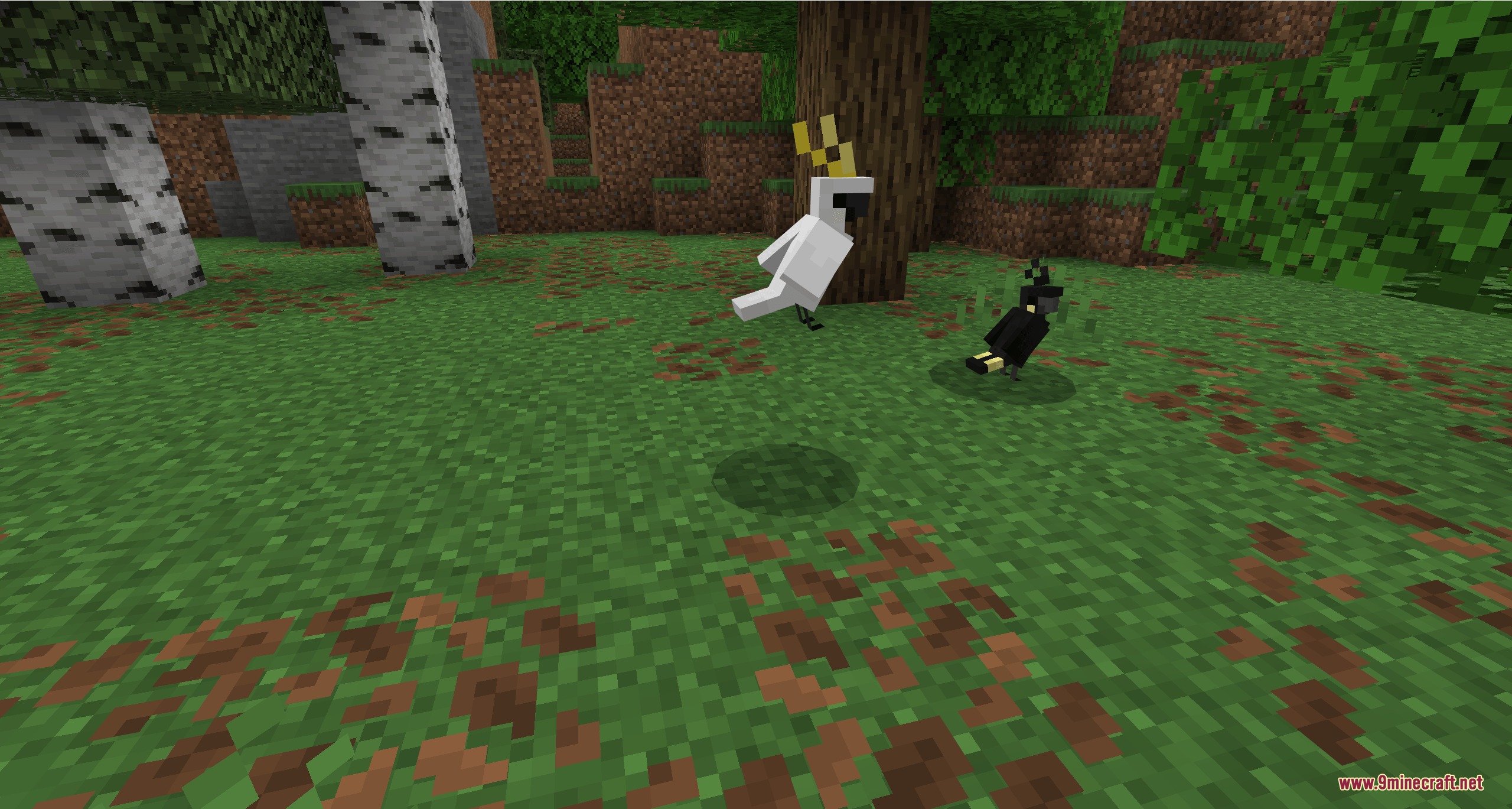 Parrots o' plenty parrot expansion mod screenshot 3