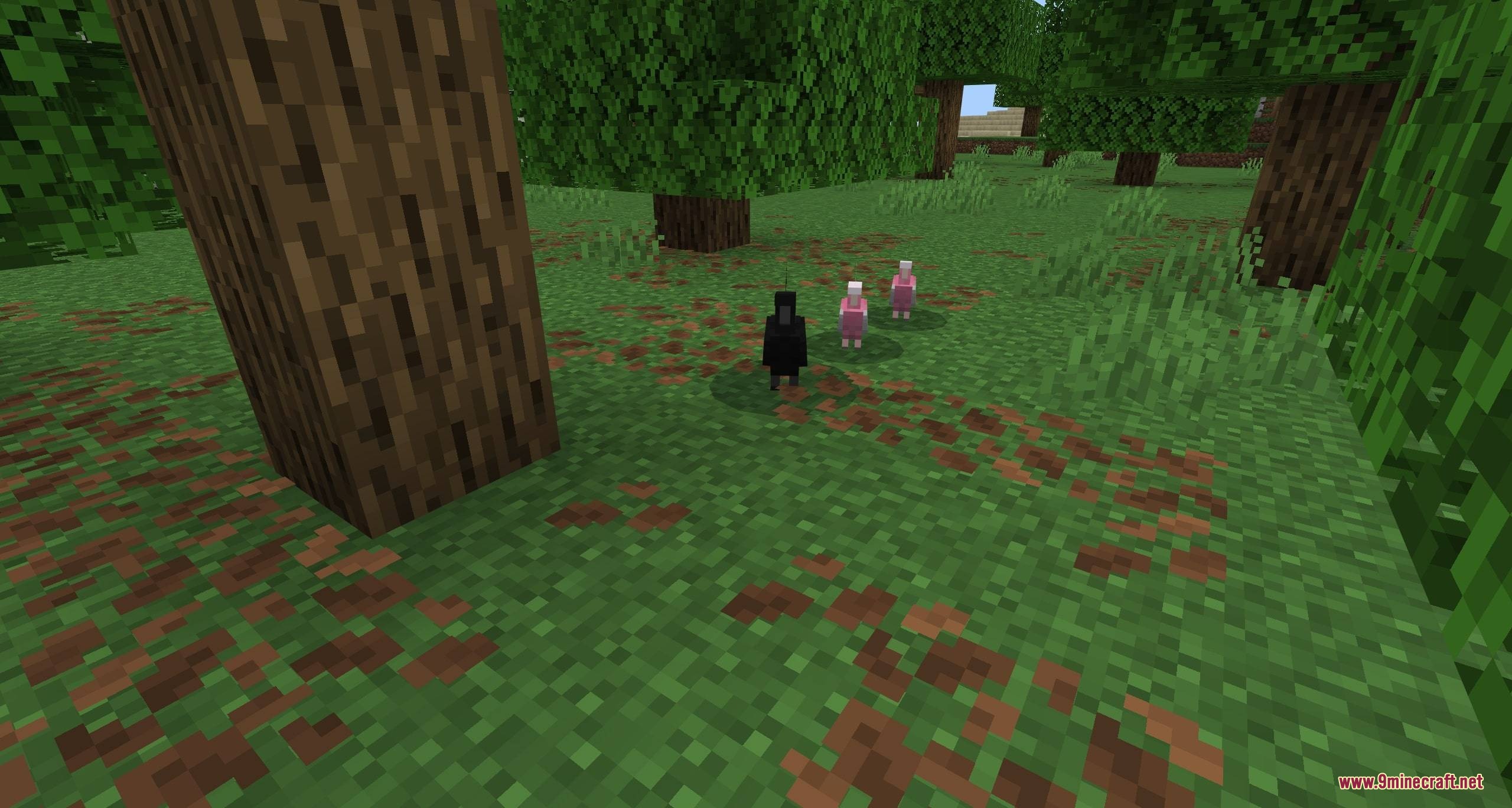 Parrots o' plenty parrot expansion mod screenshot 4