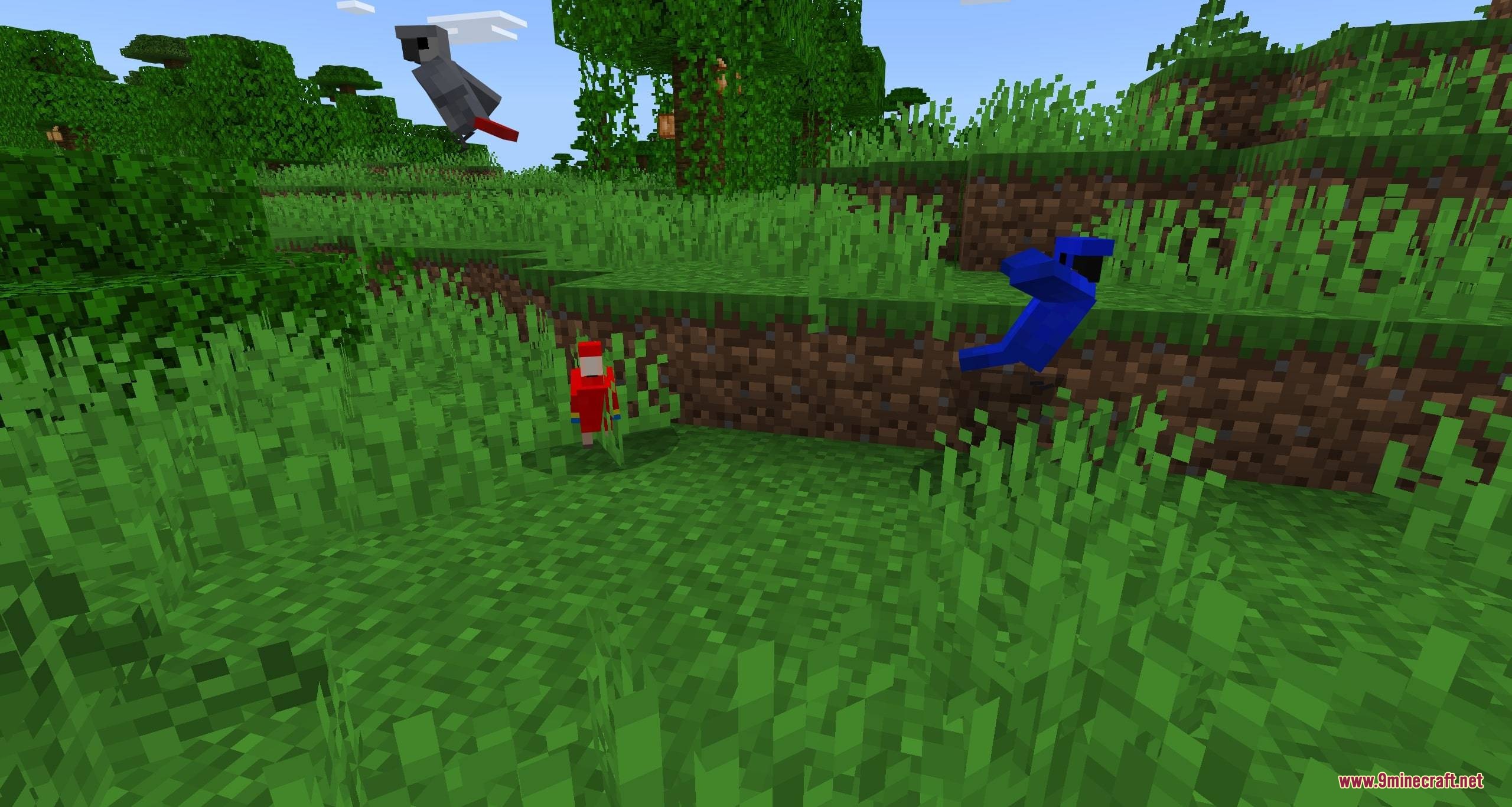Parrots o' plenty parrot expansion mod screenshot 6