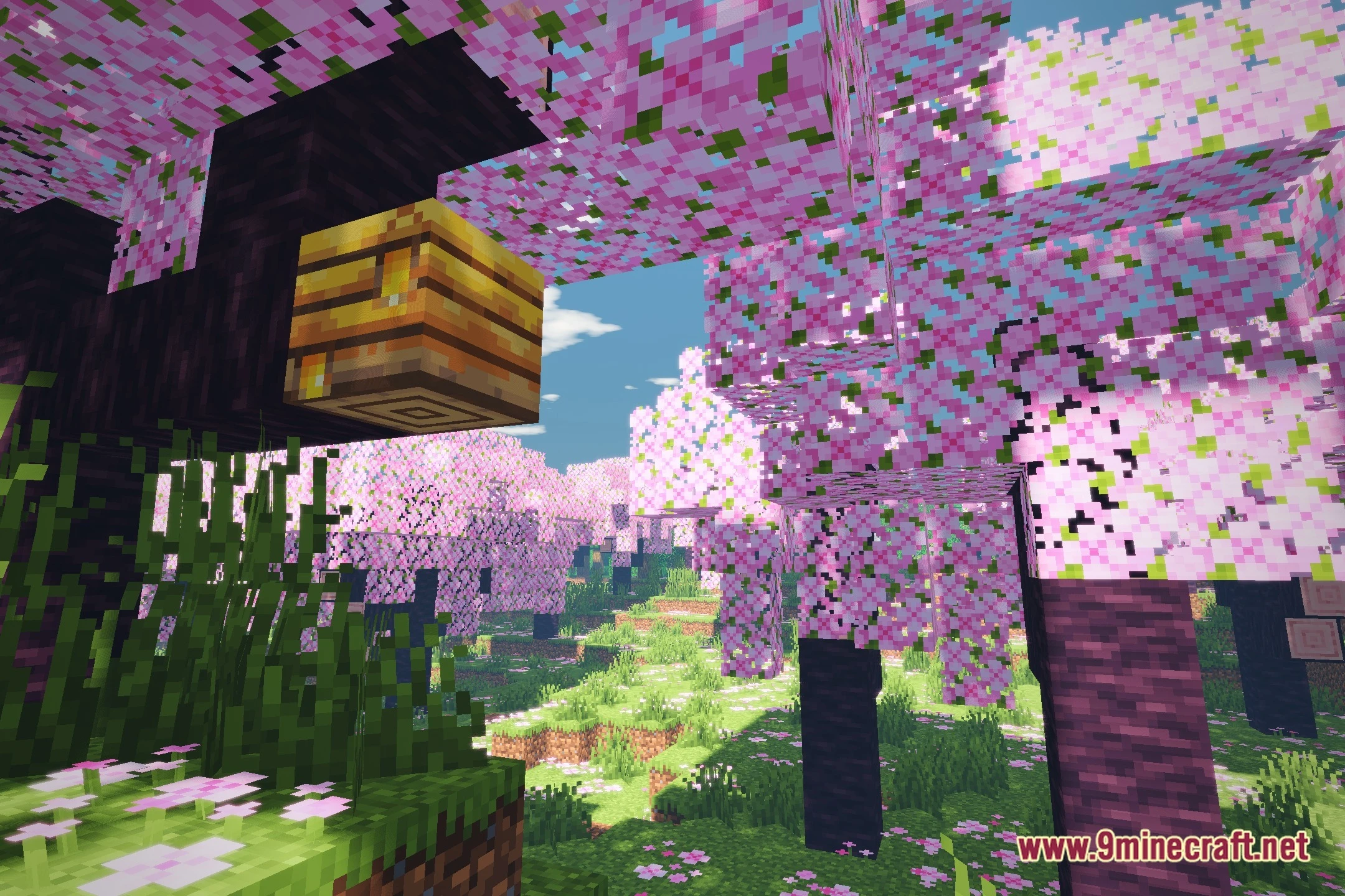 Plasma Realistic Visual Shaders (26.3, 1.20.1) – Pbr Lighting And Reflections 2 Plasma realistic visual shaders screenshot 1