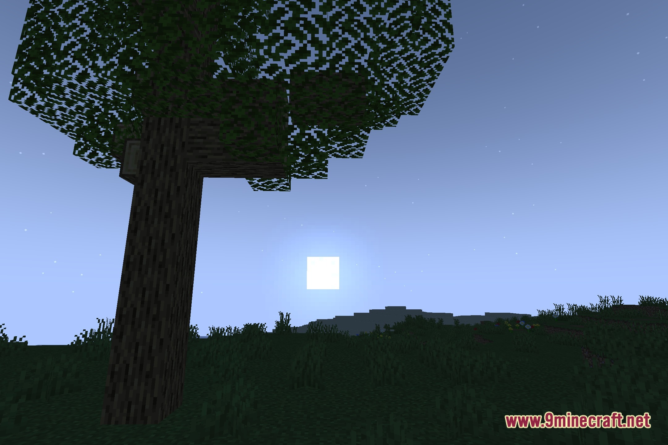Pweety Shaders (26.3, 1.20.1) – Clean Water Reflections With Low Gpu Cost 5 Pweety shaders screenshot 4