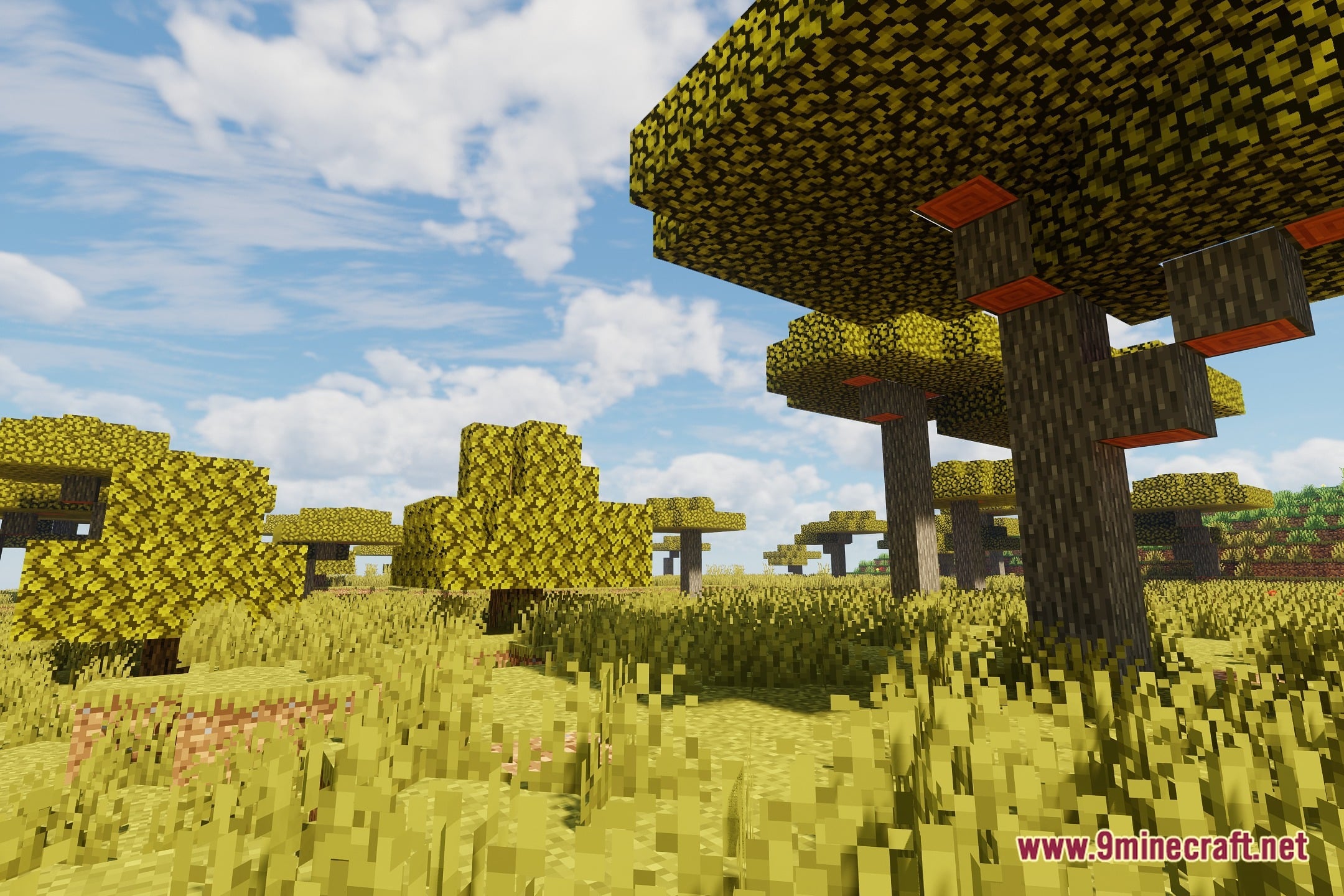 Revespera Vxpt Shaders (26.3, 1.20.1) – Realistic Voxel Path Traced Lighting 12 Revespera vxpt shaders screenshot 11