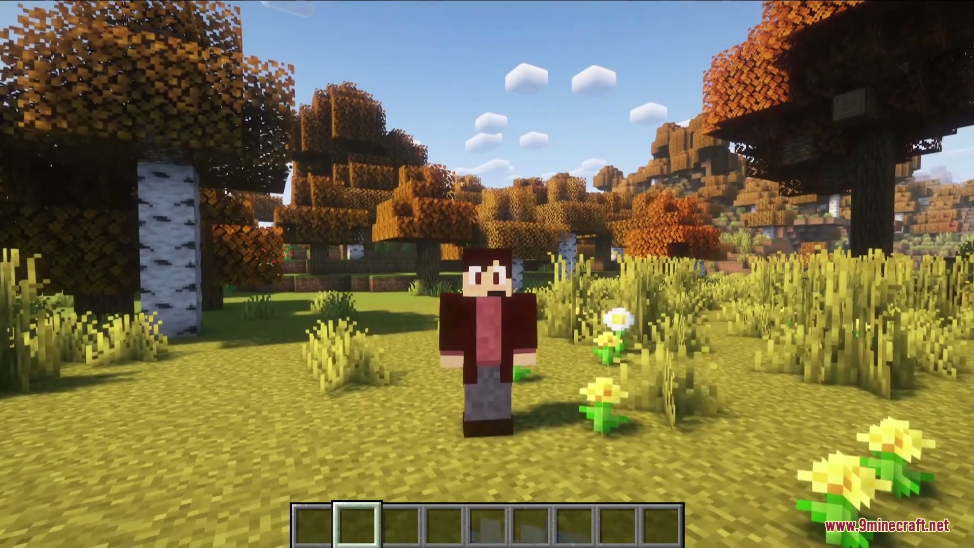 Serene Seasons Plus Mod (1.21.11, 1.20.1) – Survive Harsh Winters 4 Serene seasons plus mod screenshot 3