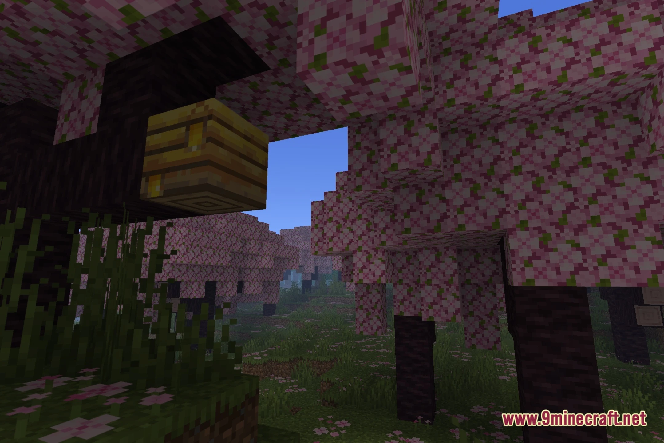 Sirsum Corda Shaders (26.3, 1.20.1) – Soft Shadows And Clear Water 2 Sirsum corda shaders screenshot 1