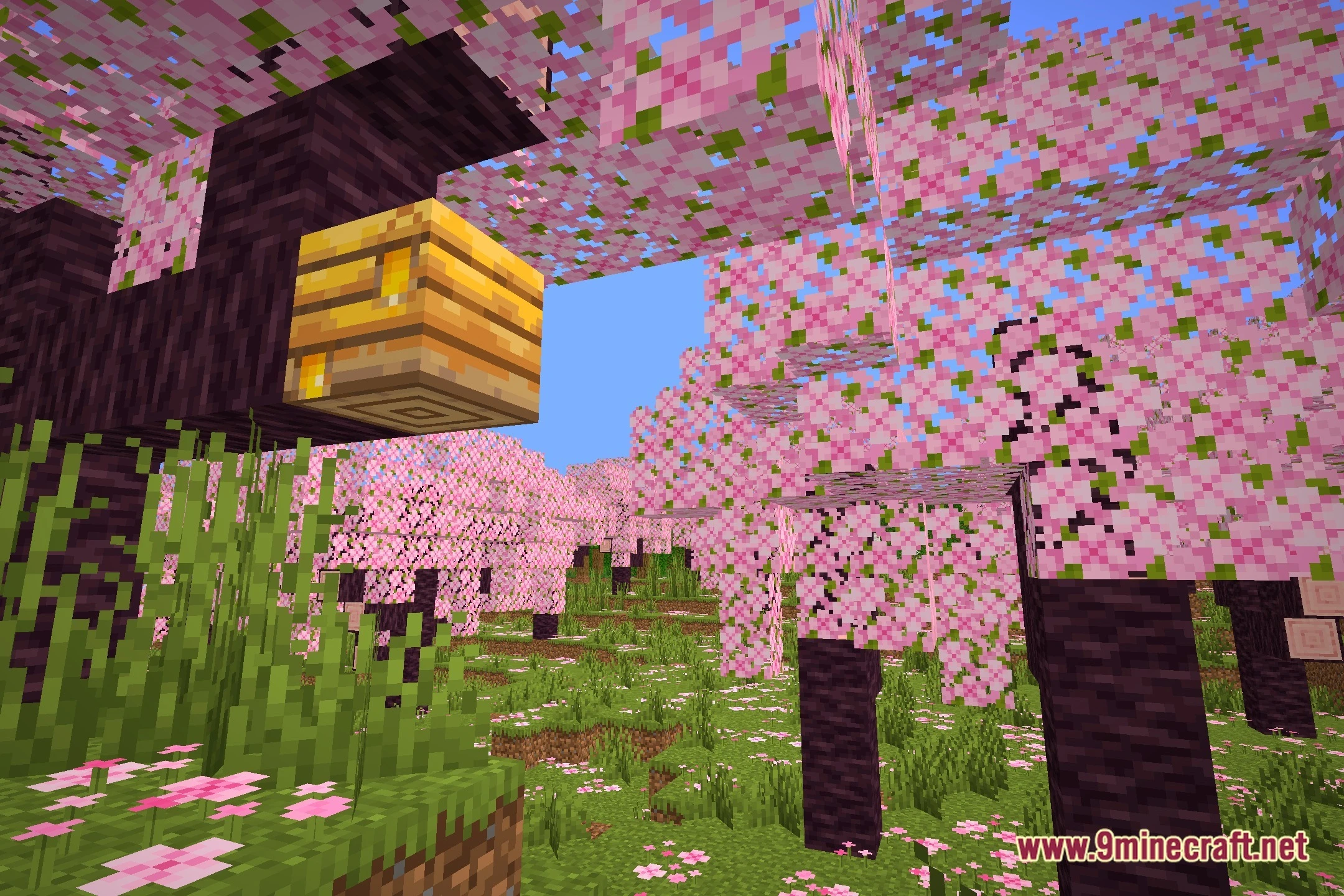 Sovanilla Shaders (26.3, 1.20.1) – Clean Cartoon Lighting For Low Gpus 2 Sovanilla shaders screenshot 1