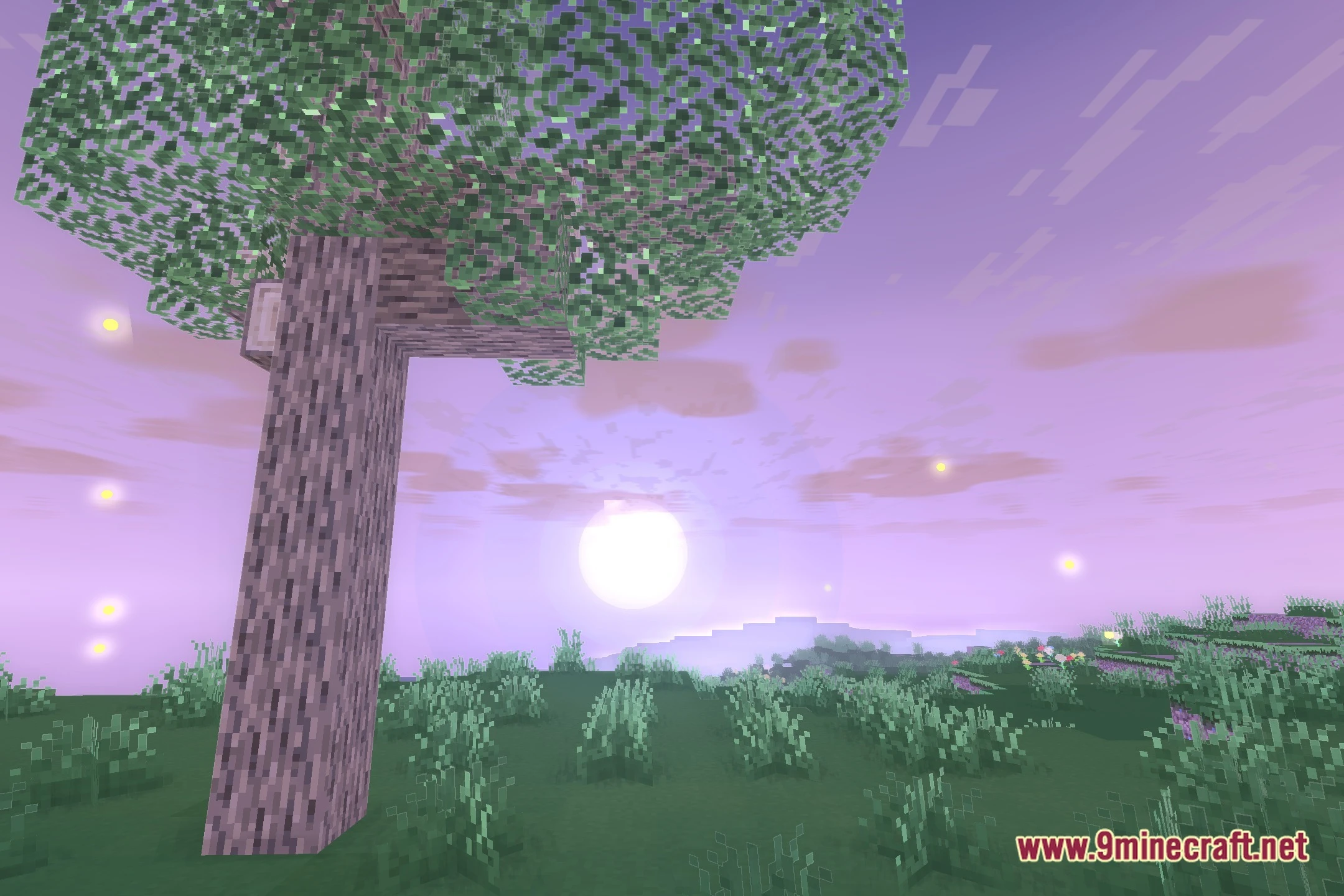 Solace Shaders (26.3, 1.20.1) – Stylized Cartoon Visuals And Custom Shadows 5 Solace shaders screenshot 4